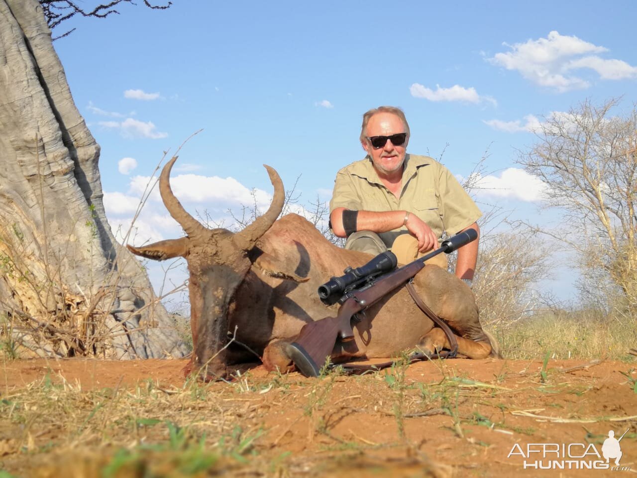 Tsessebe Hunting South Africa