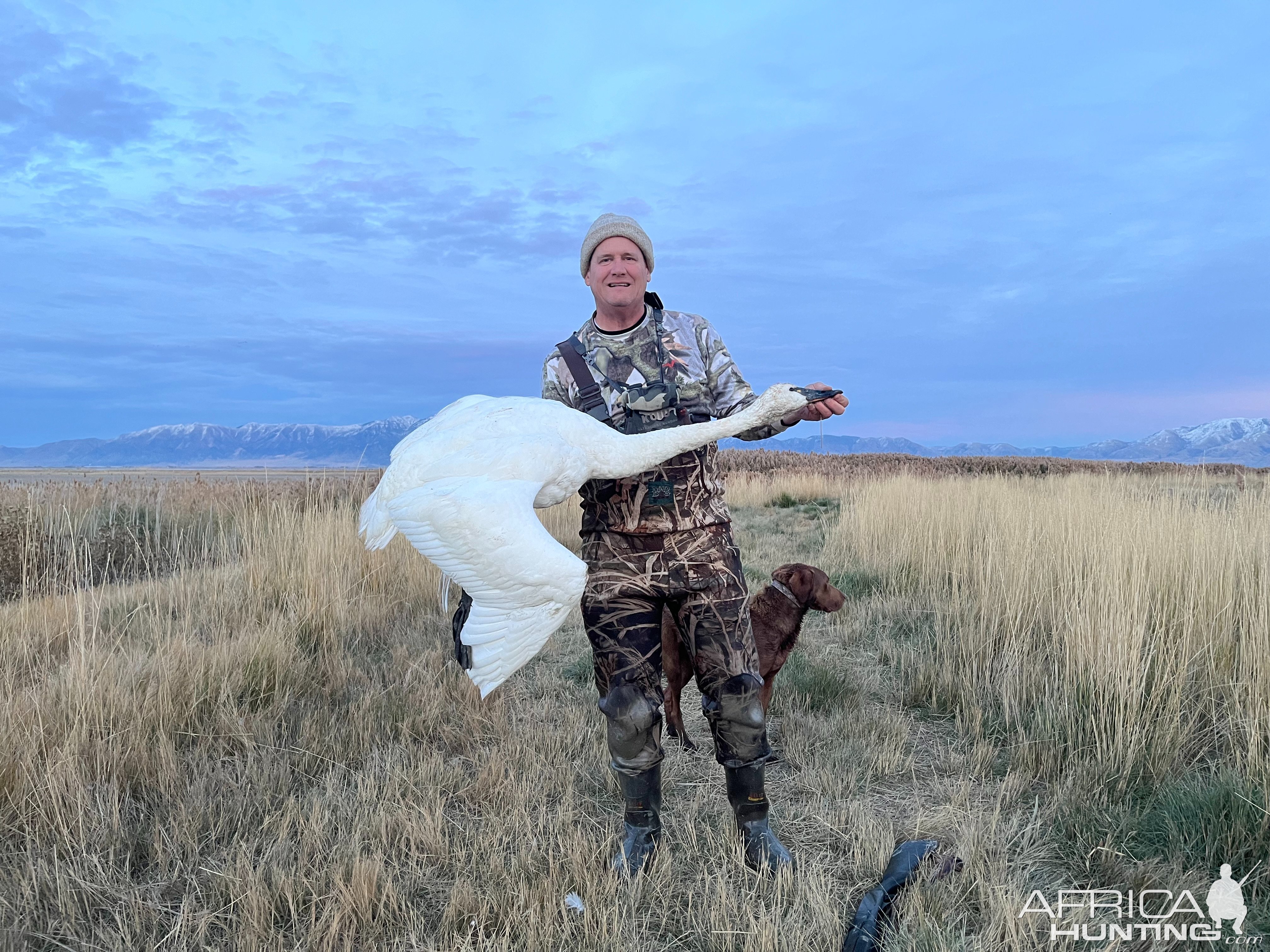 Tundra Swan hunt Idaho