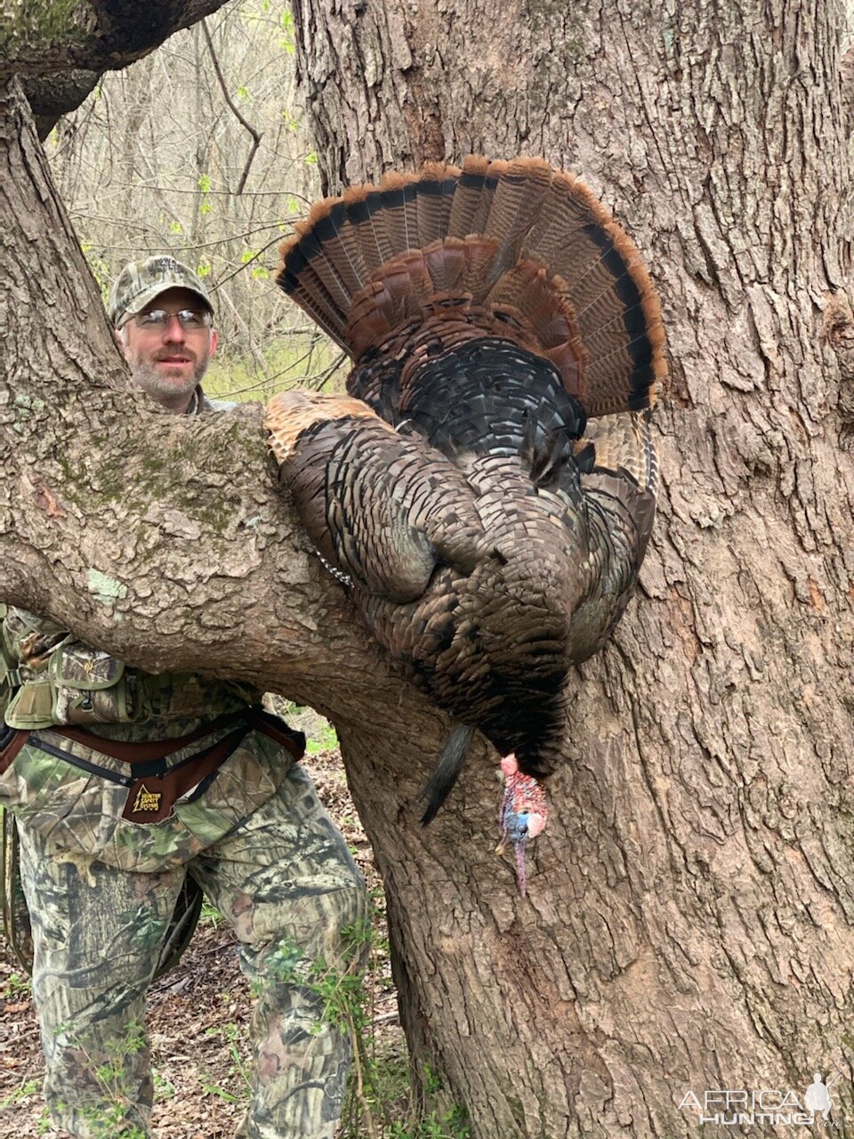 Turkey Hunt Iowa