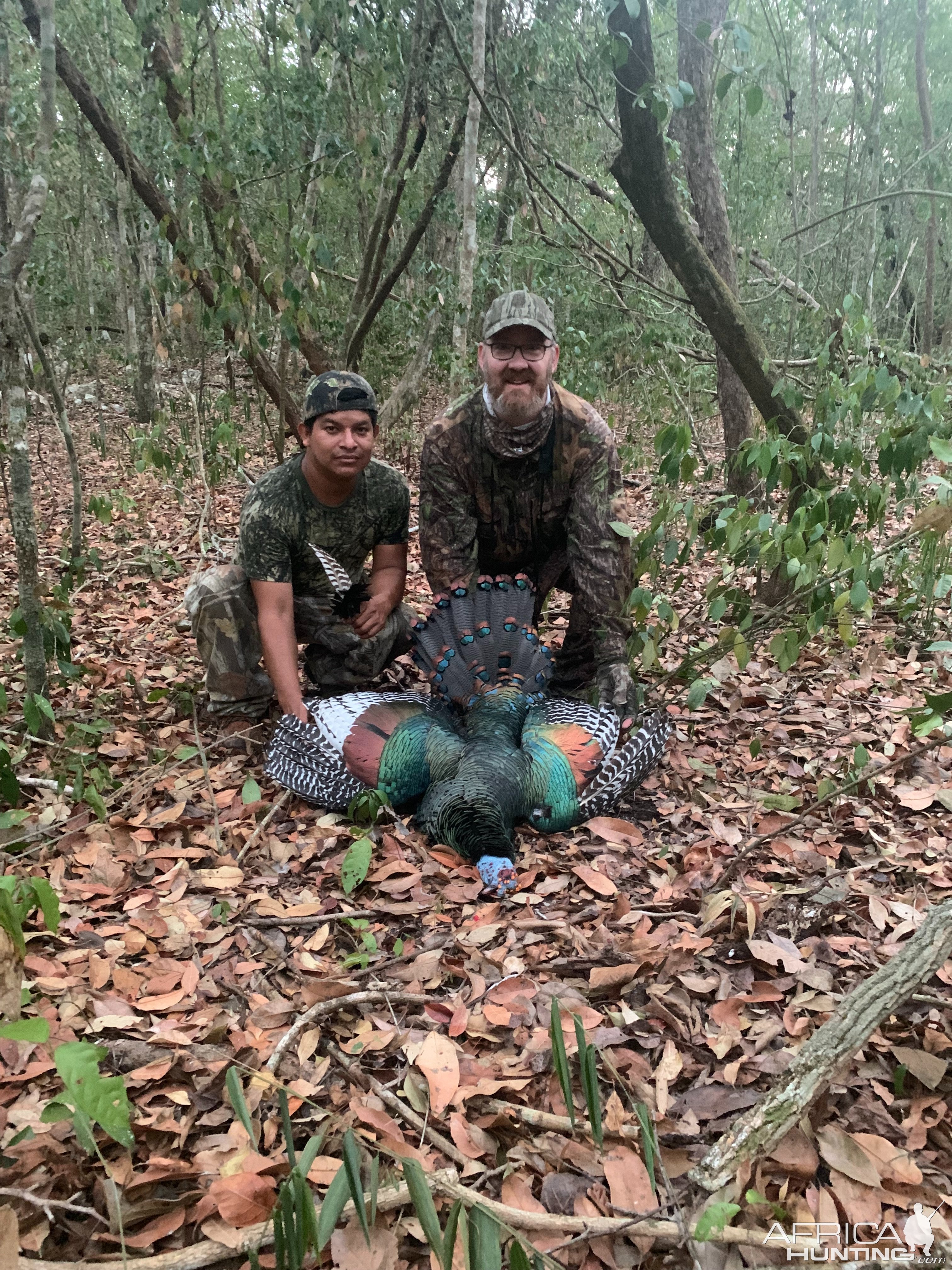 Turkey Hunt Yucatan Mexico State