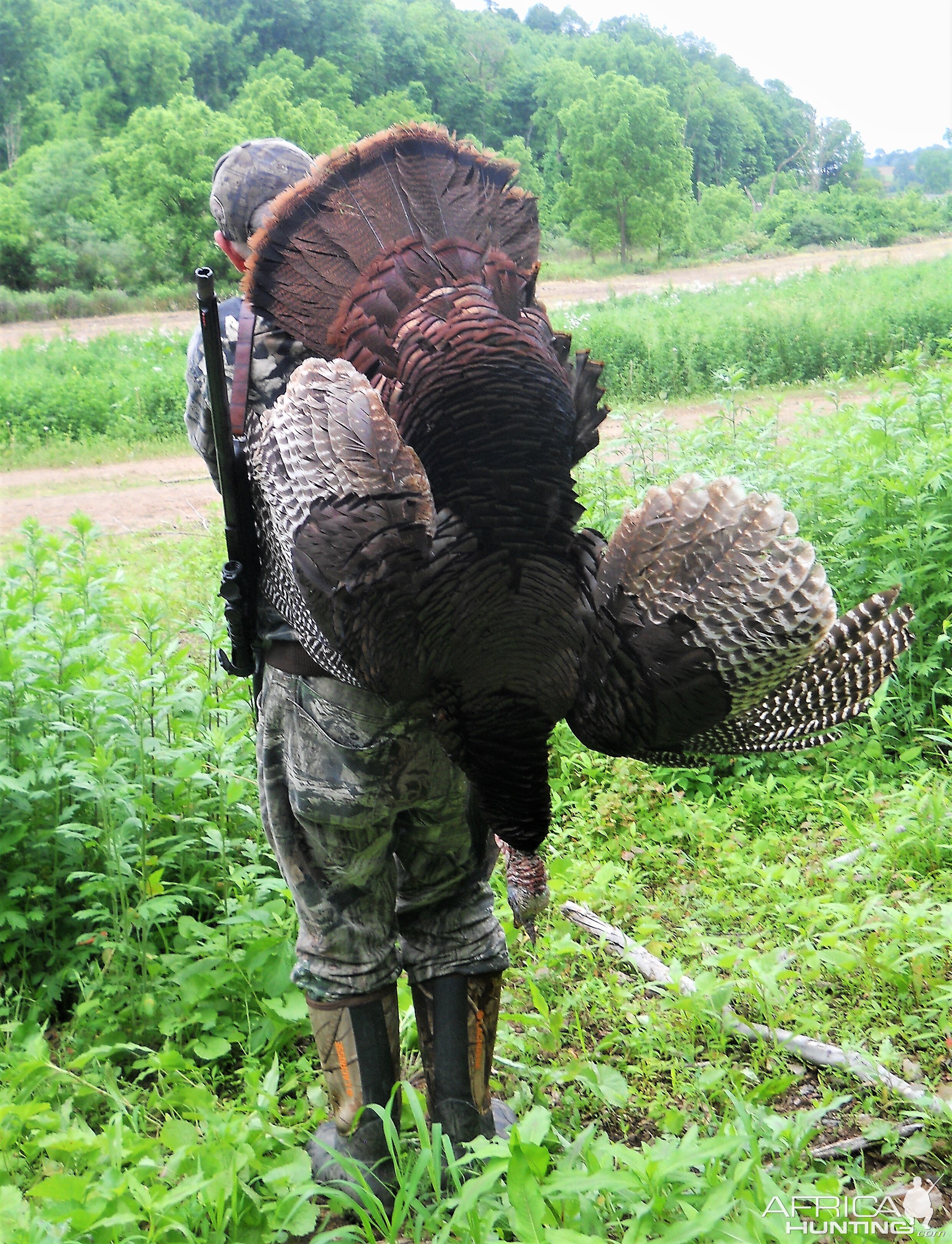 Turkey Hunt