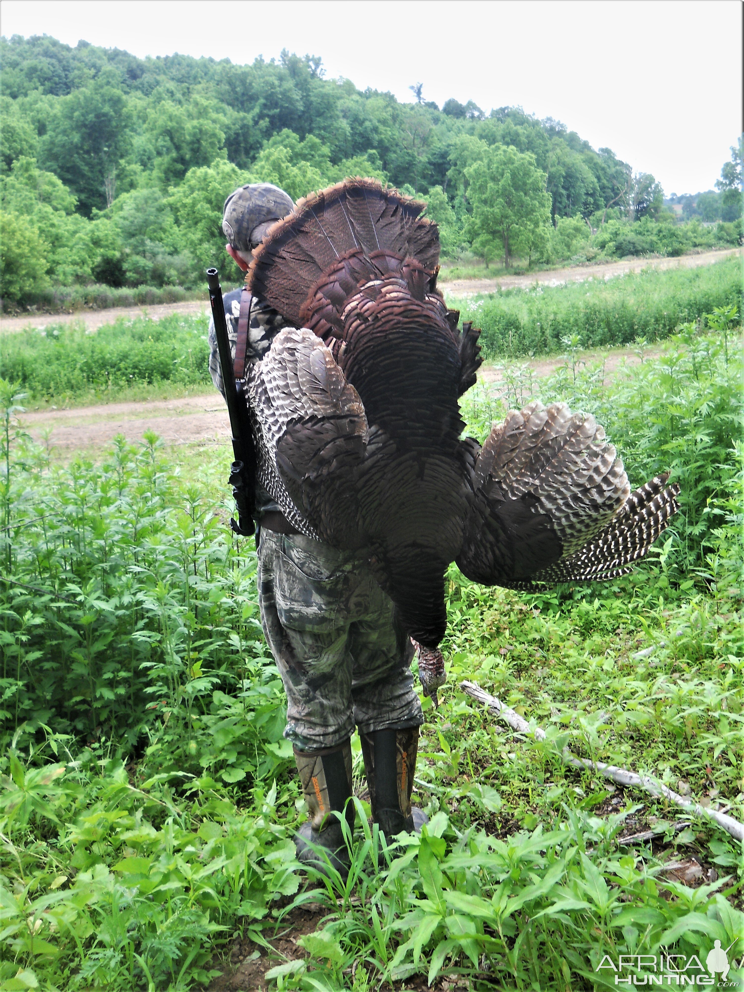 Turkey Hunting Canada