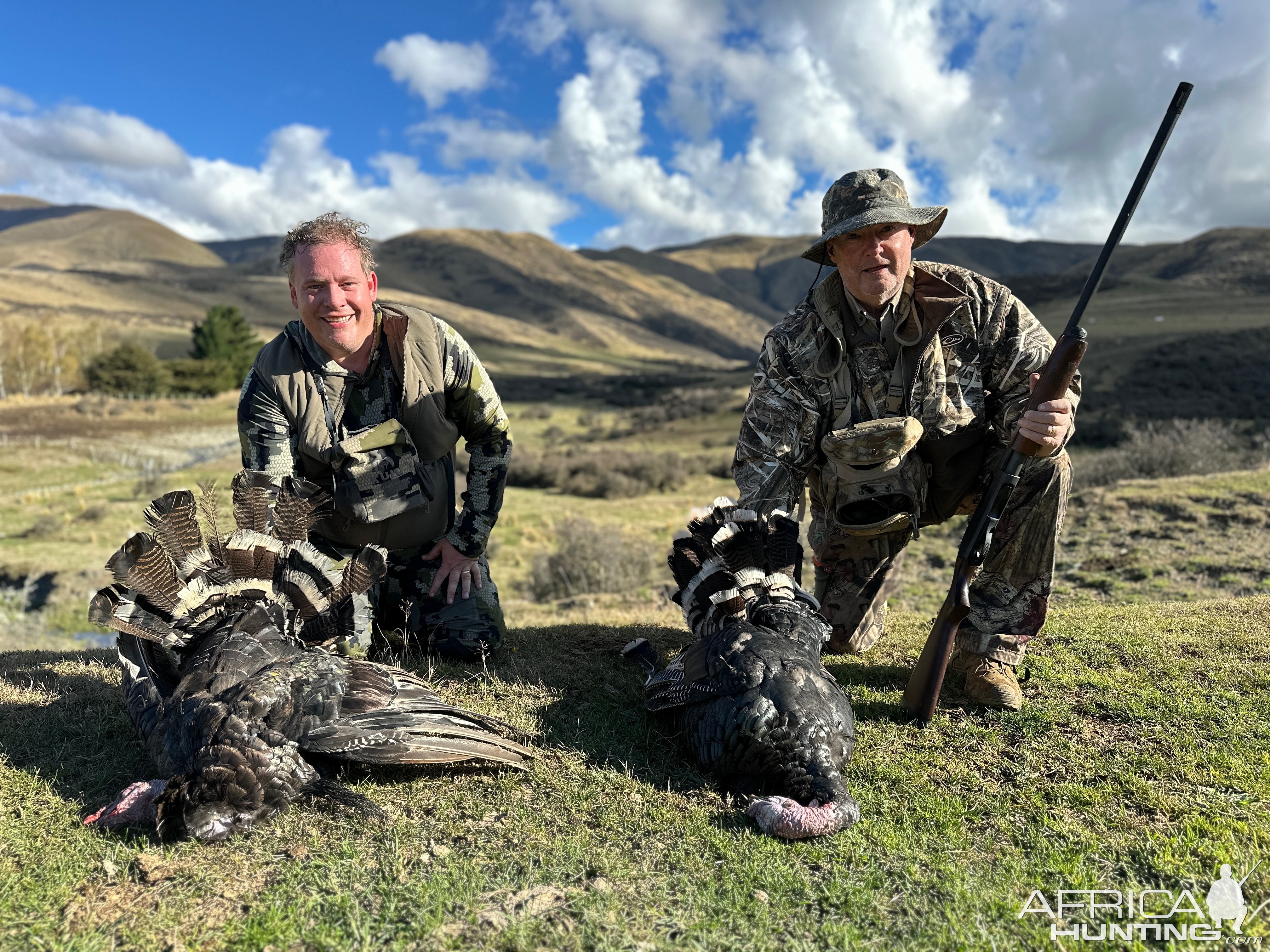 Turkey Hunting New Zealand