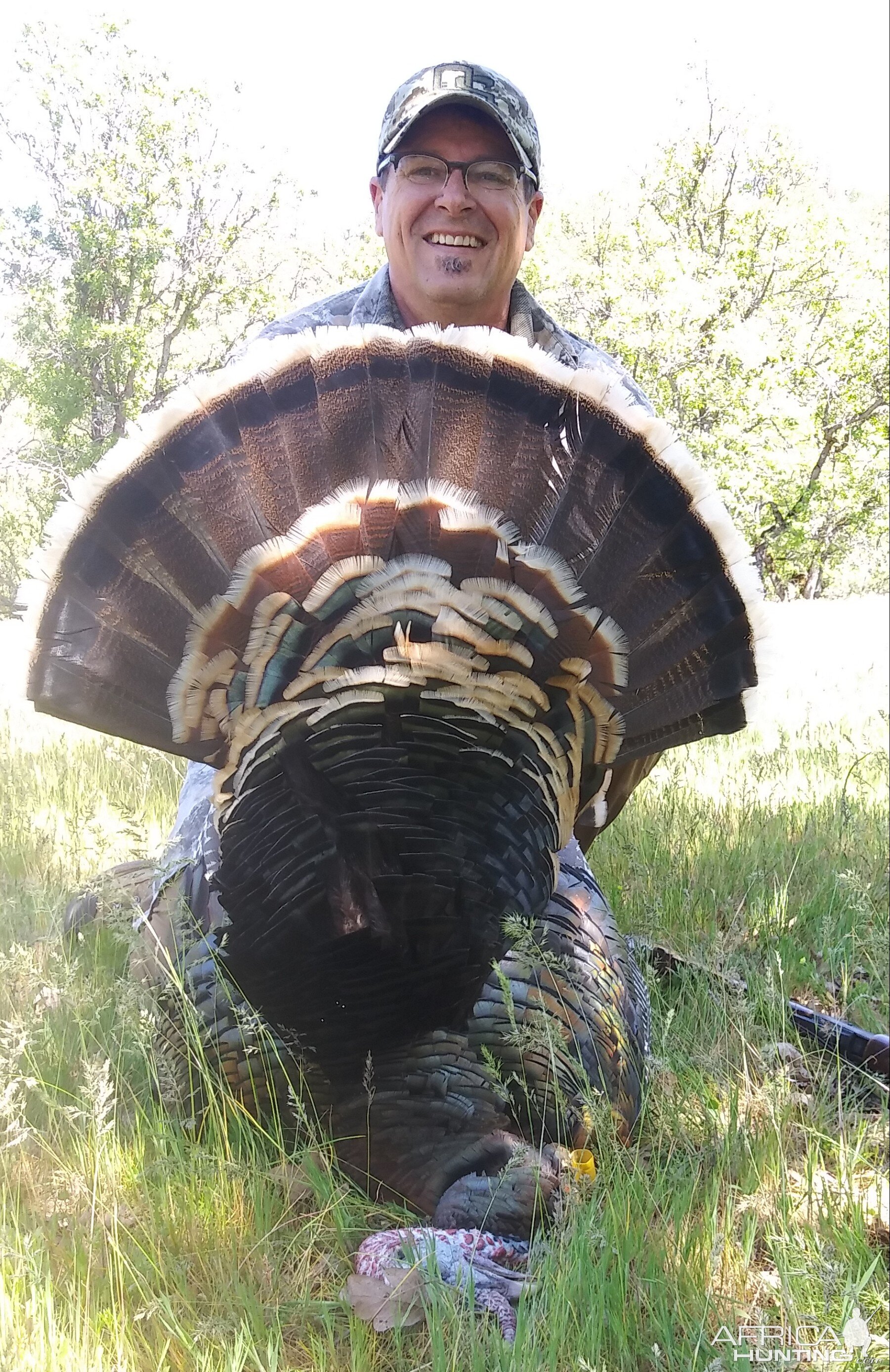 Turkey Hunting