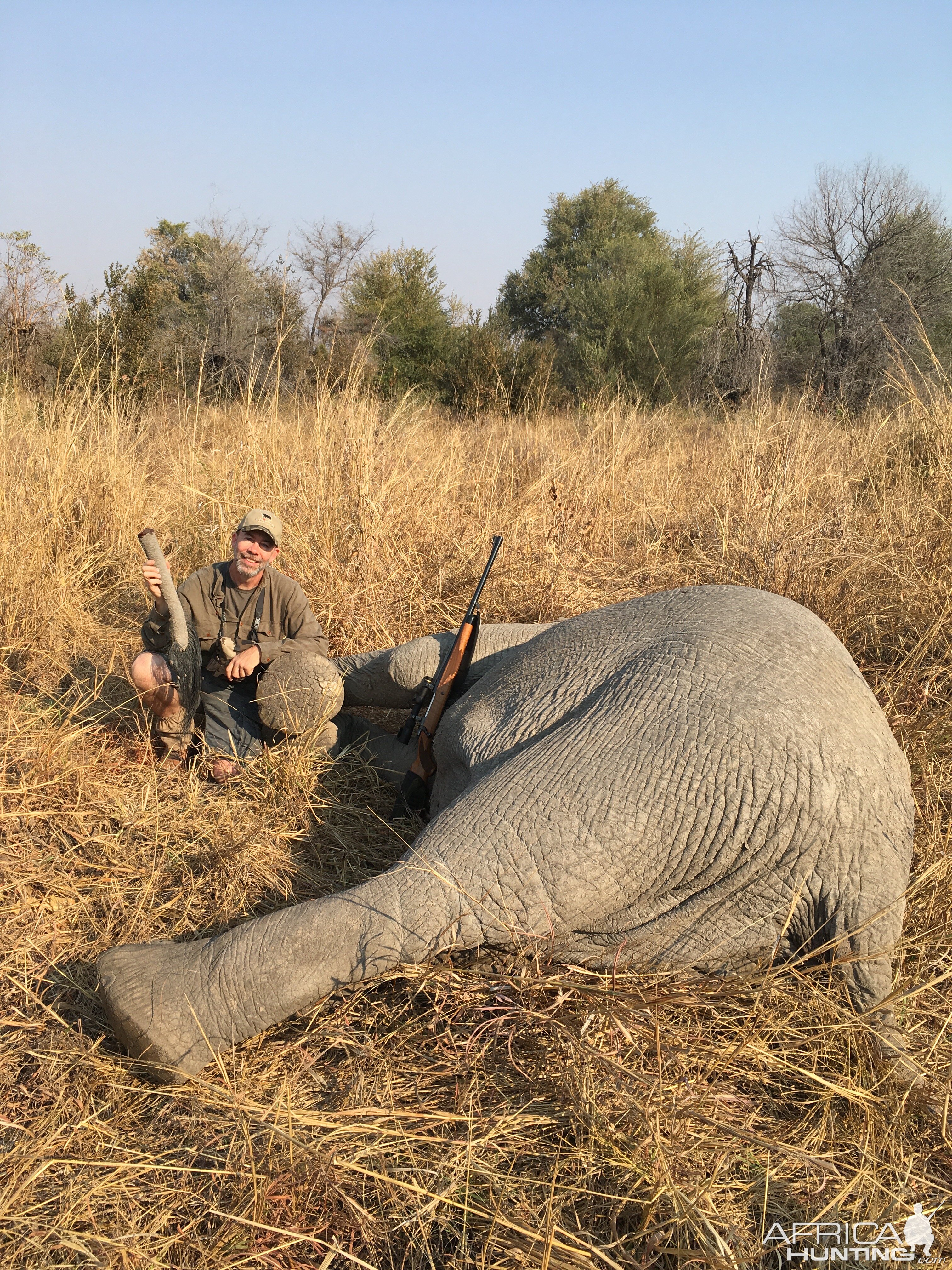 Tuskless Elephant Hunt Zimbabwe | AfricaHunting.com