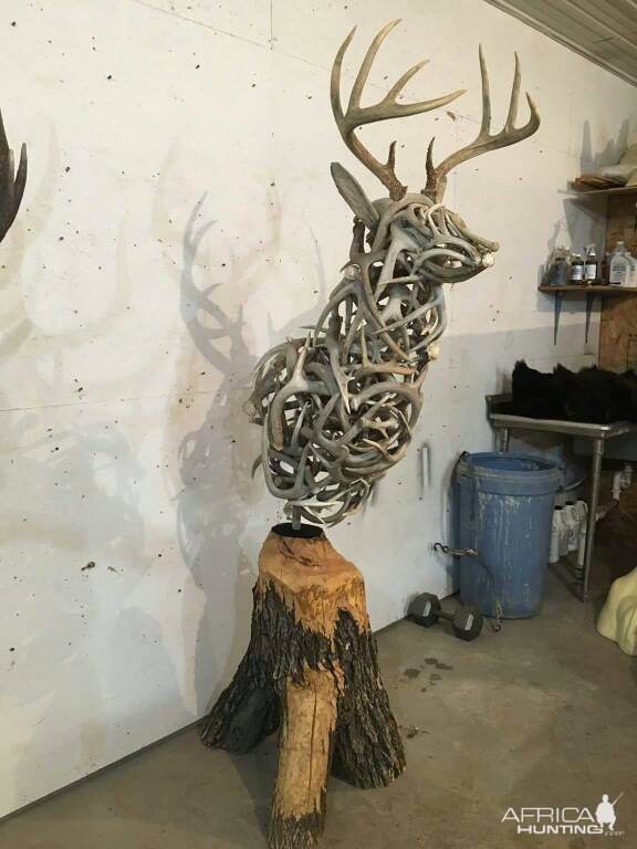 Unique Antler Mount