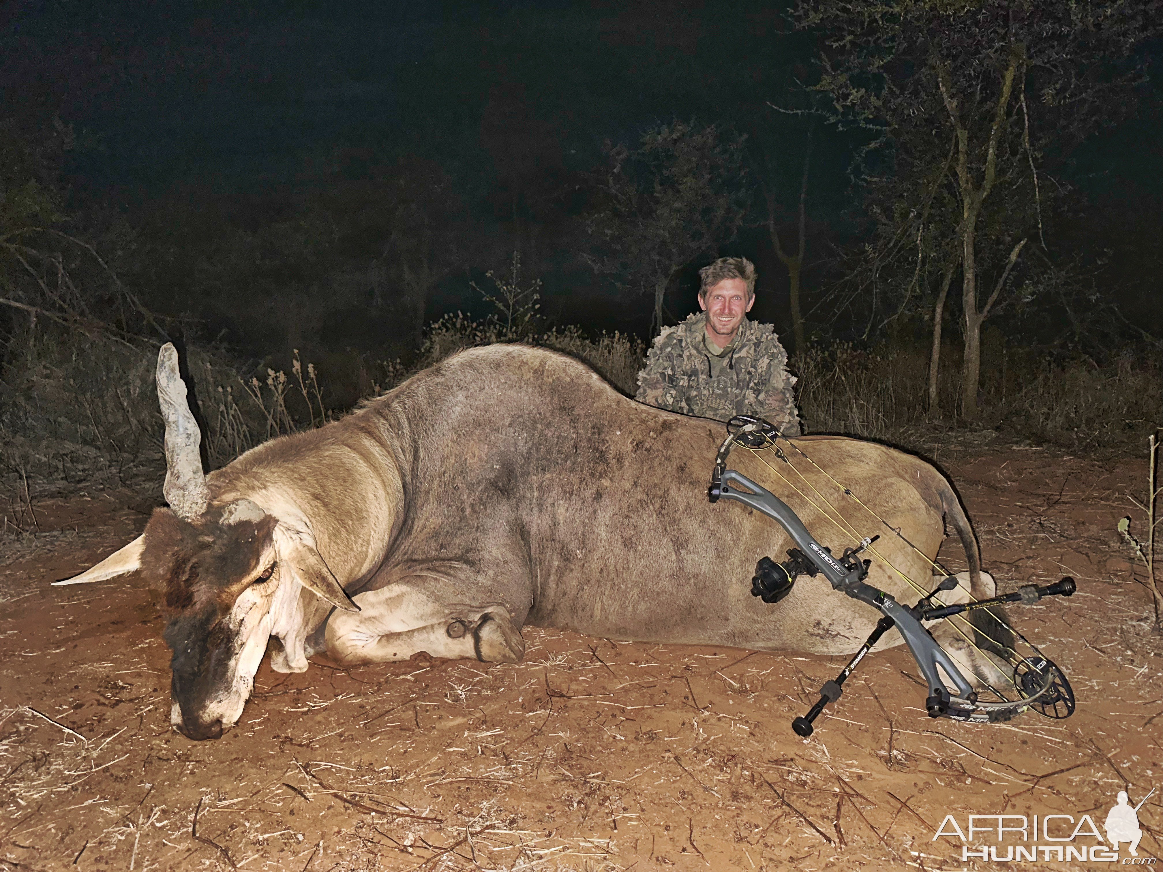 Unusual Eland Bow Hunt Zimbabwe