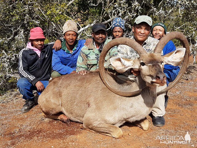 Unusual Kudu Trophy