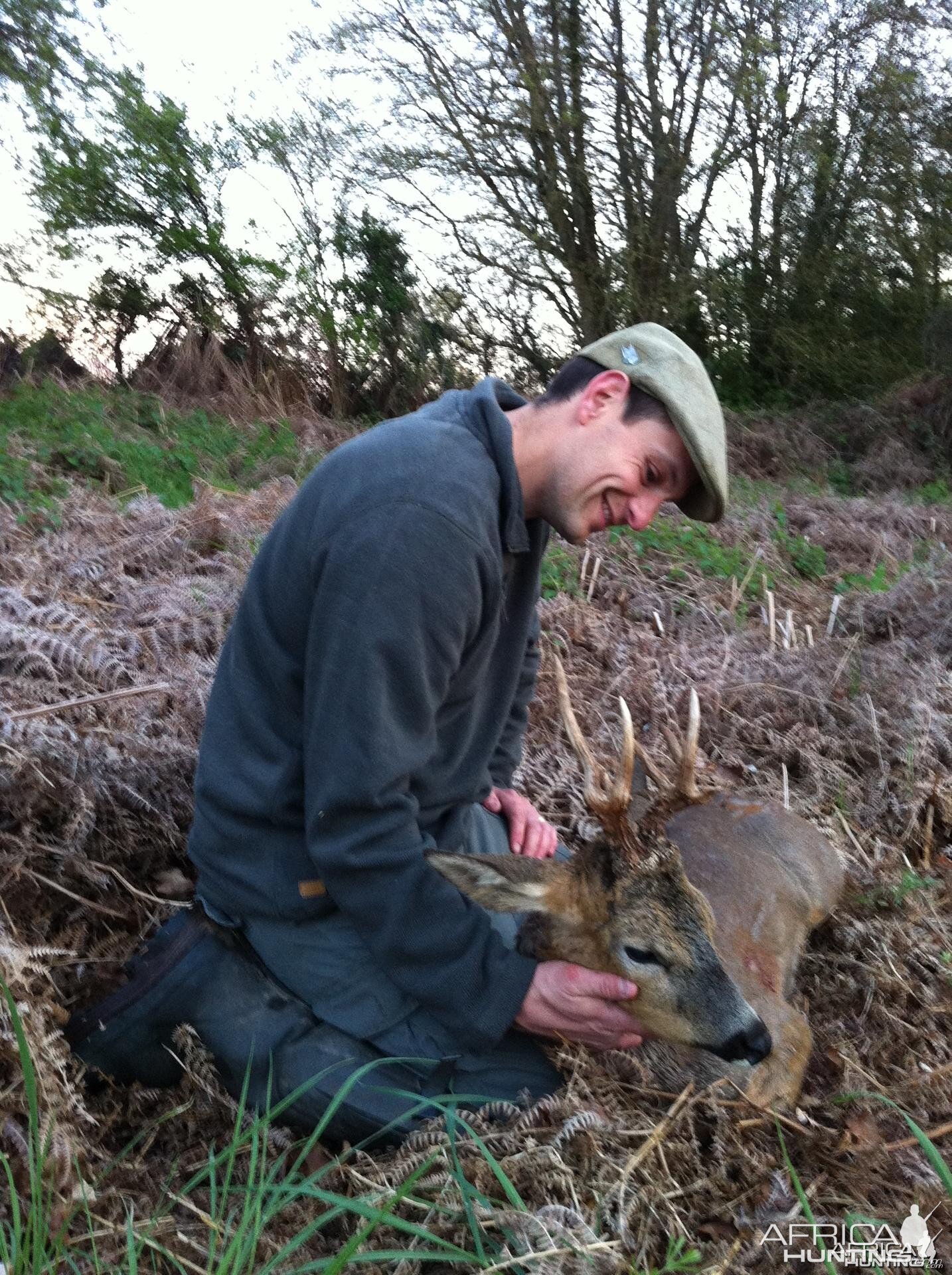 Unusual Roe Buck