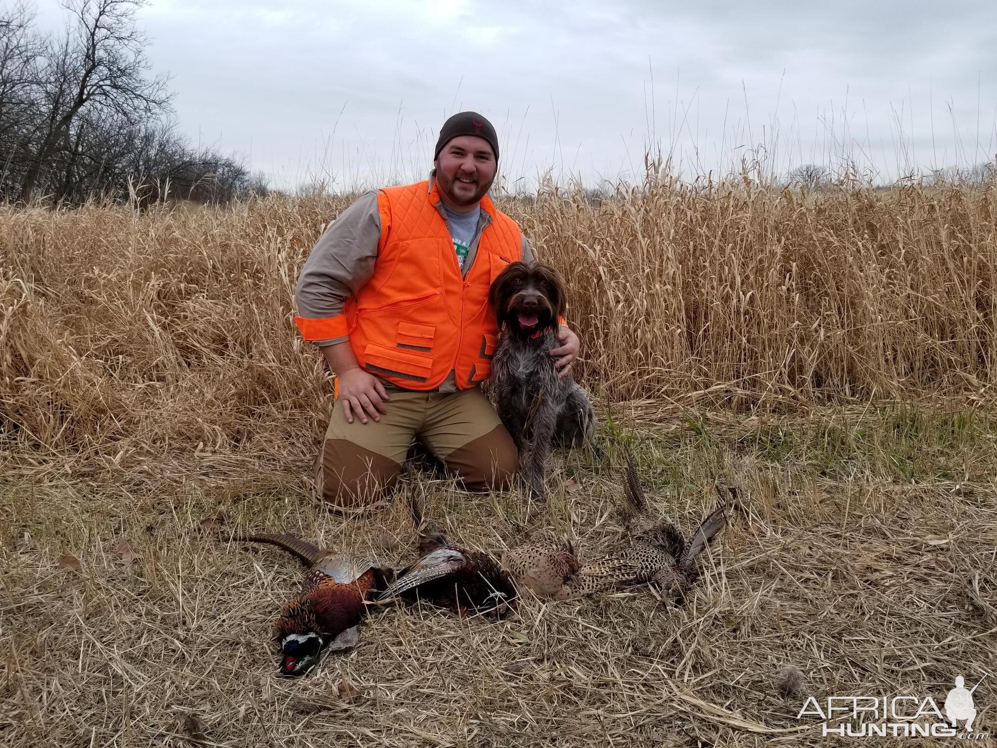 Upland Hunting USA