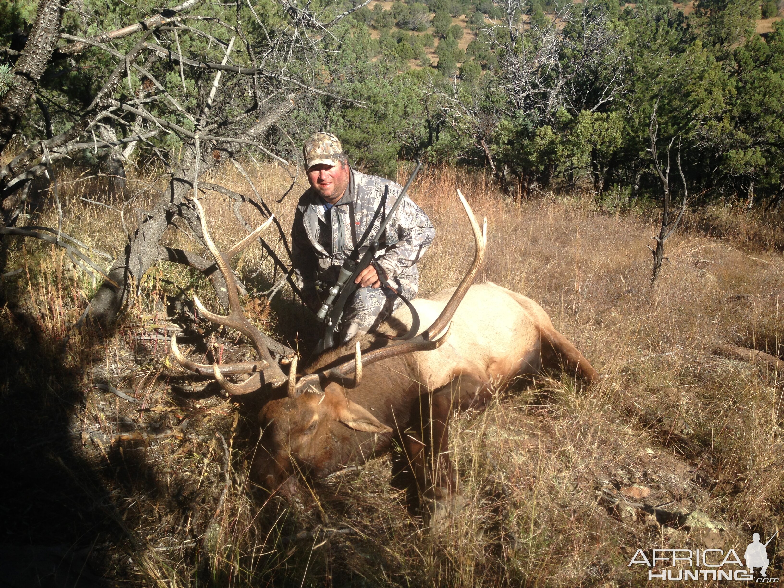USA Hunt Elk