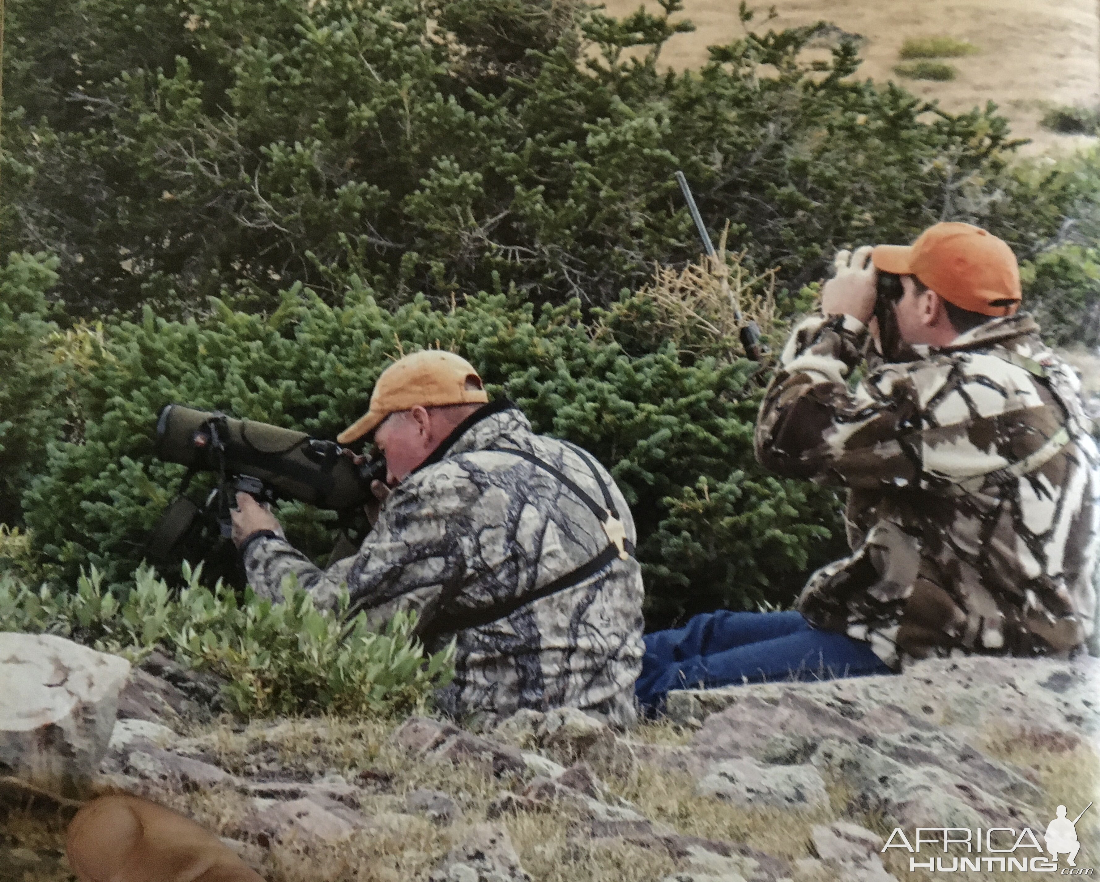 USA Hunt Mountain Goat