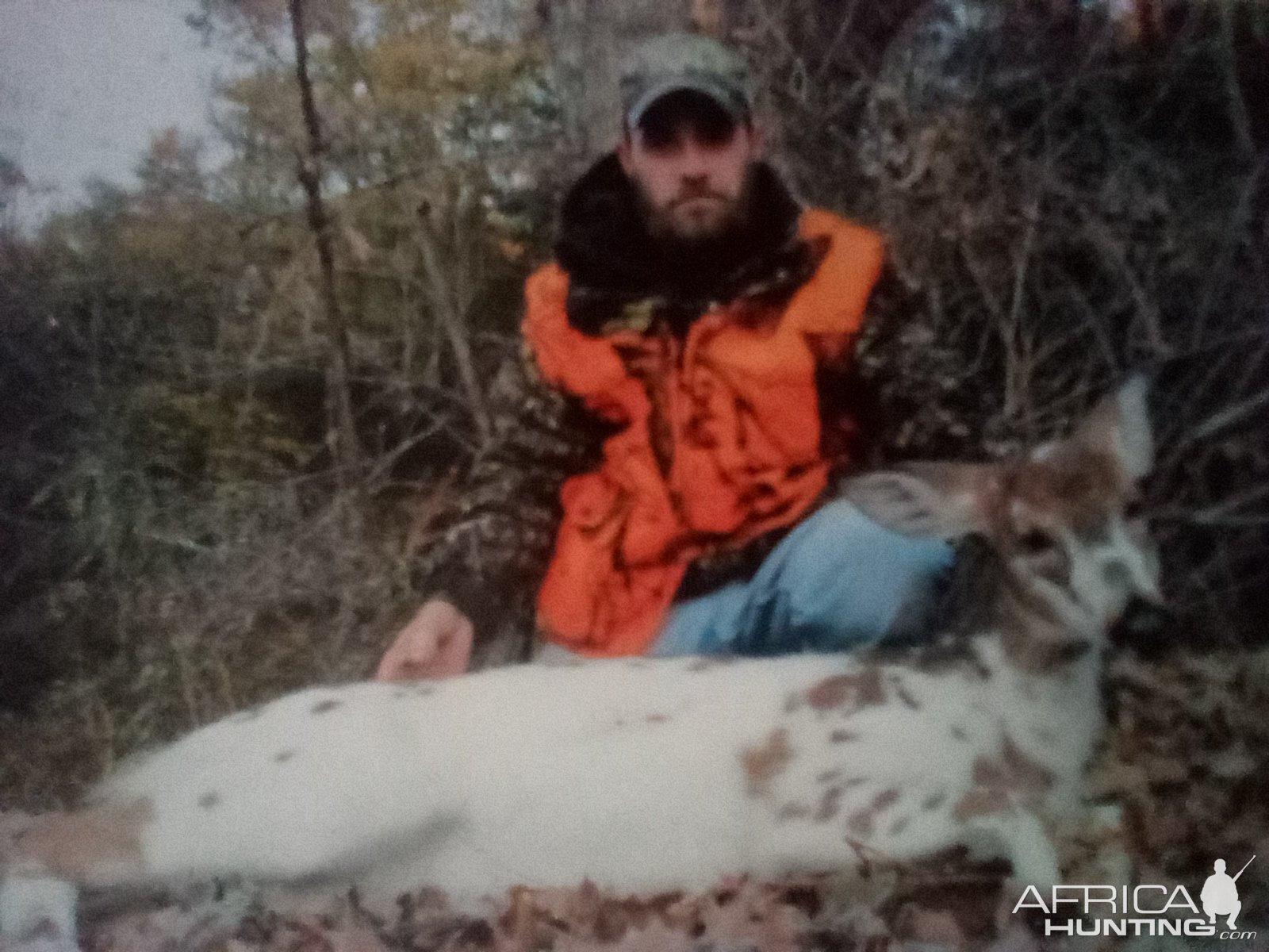 USA Hunt Piebald Whitetail Deer