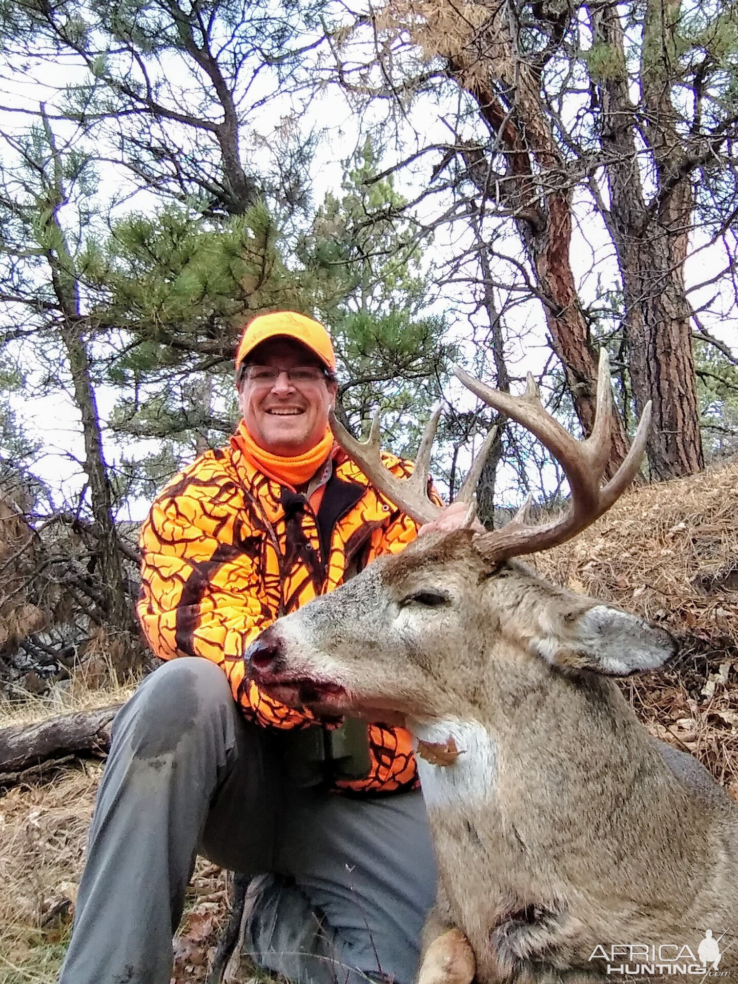 USA Hunt White-tailed Deer