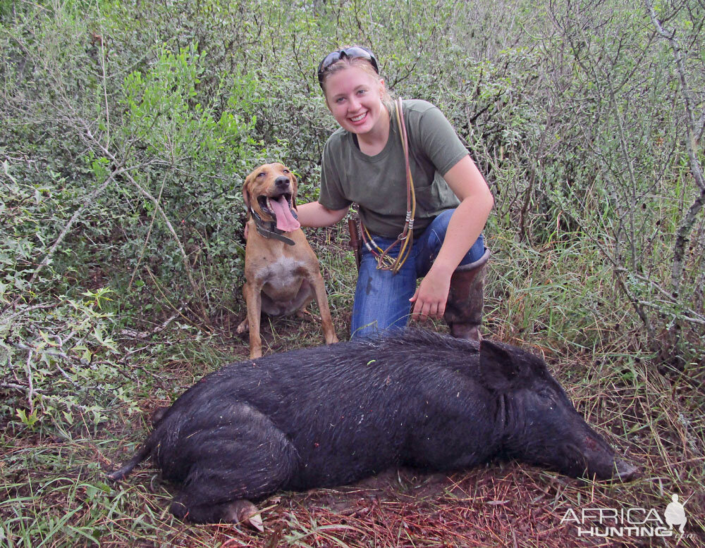 USA Hunting Hog