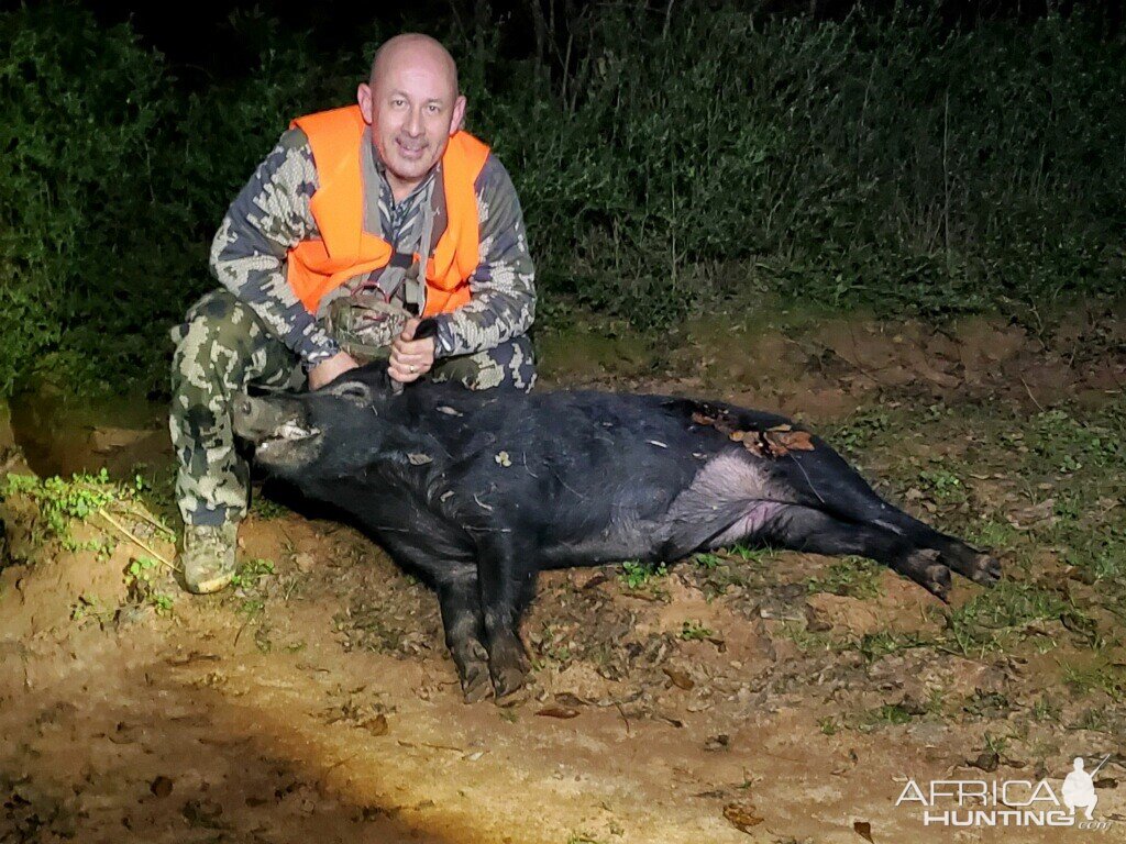 USA Hunting Hog