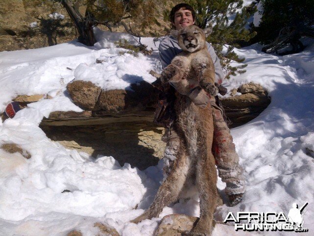 Utah Cougar Hunts