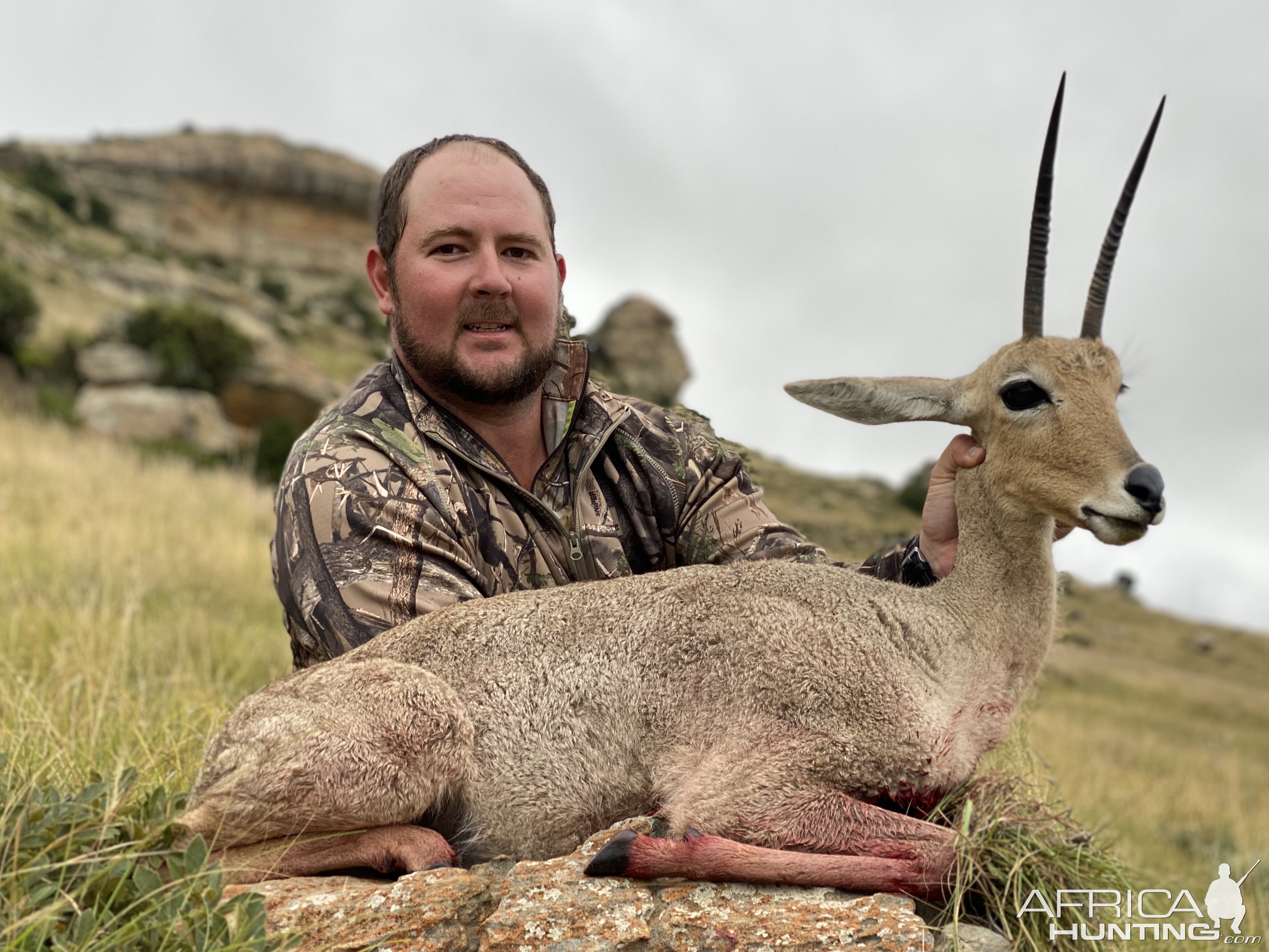 Vaal Reedbuck Hunting