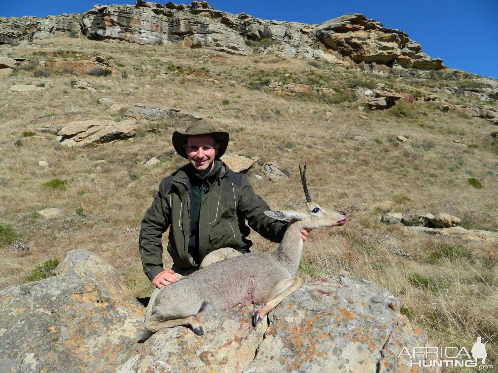 Vaal Rhebok Atypical Trophy