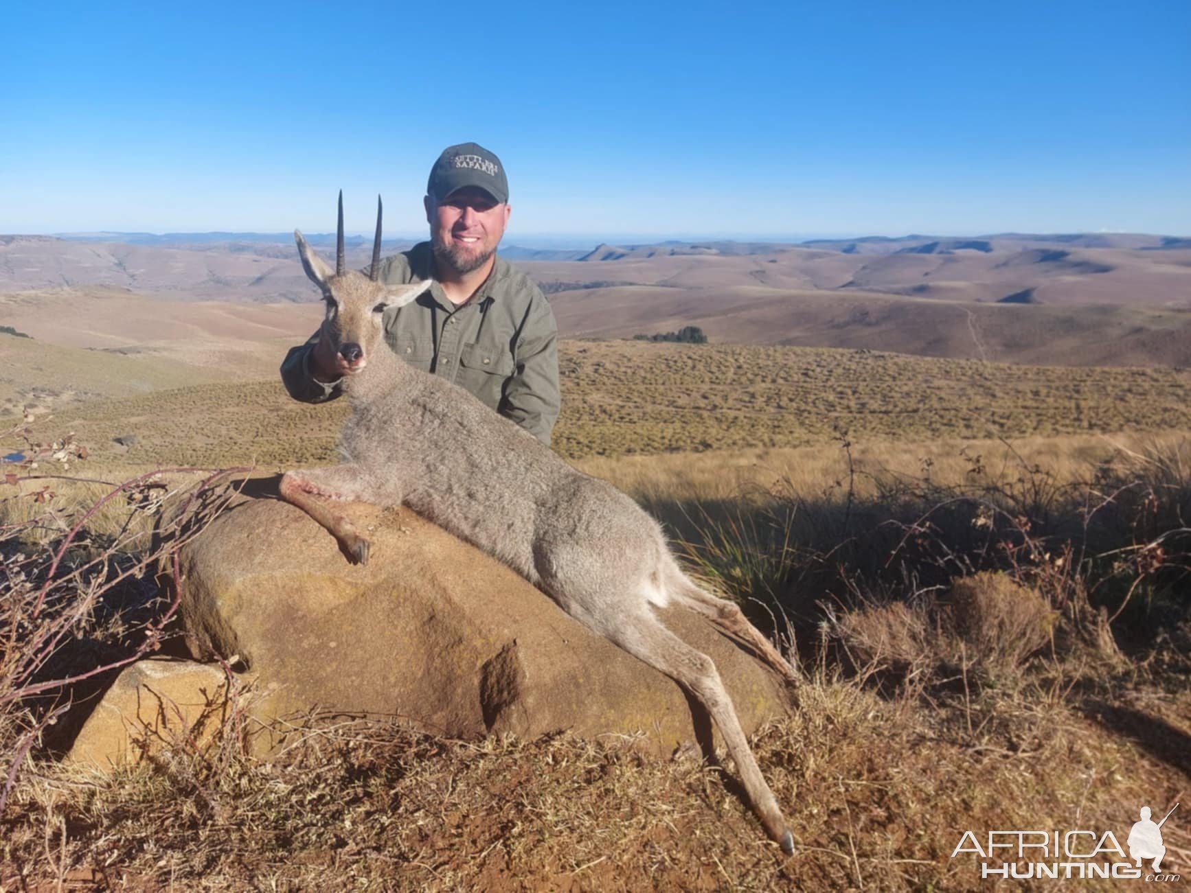 Vaal Rhebuck Hunt Eastern Cape South Africa