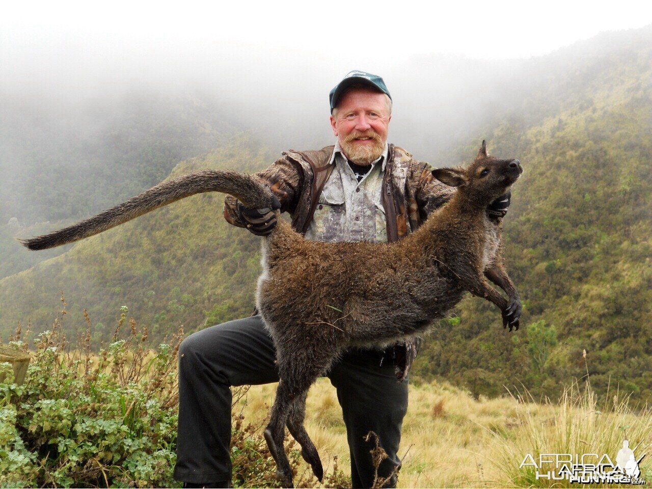 Varmint shooting-Wallaby