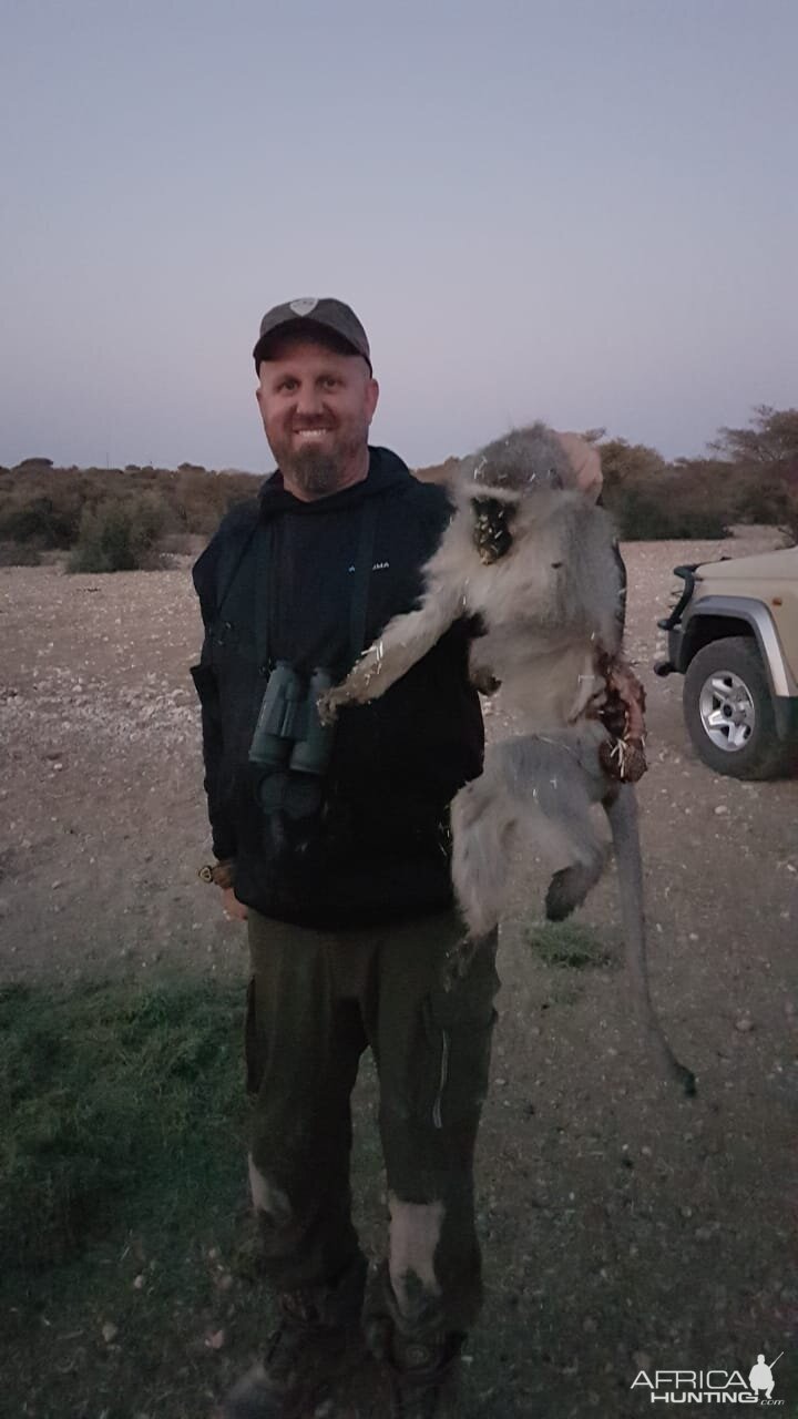 Vervet Monkey Bow Hunting South Africa
