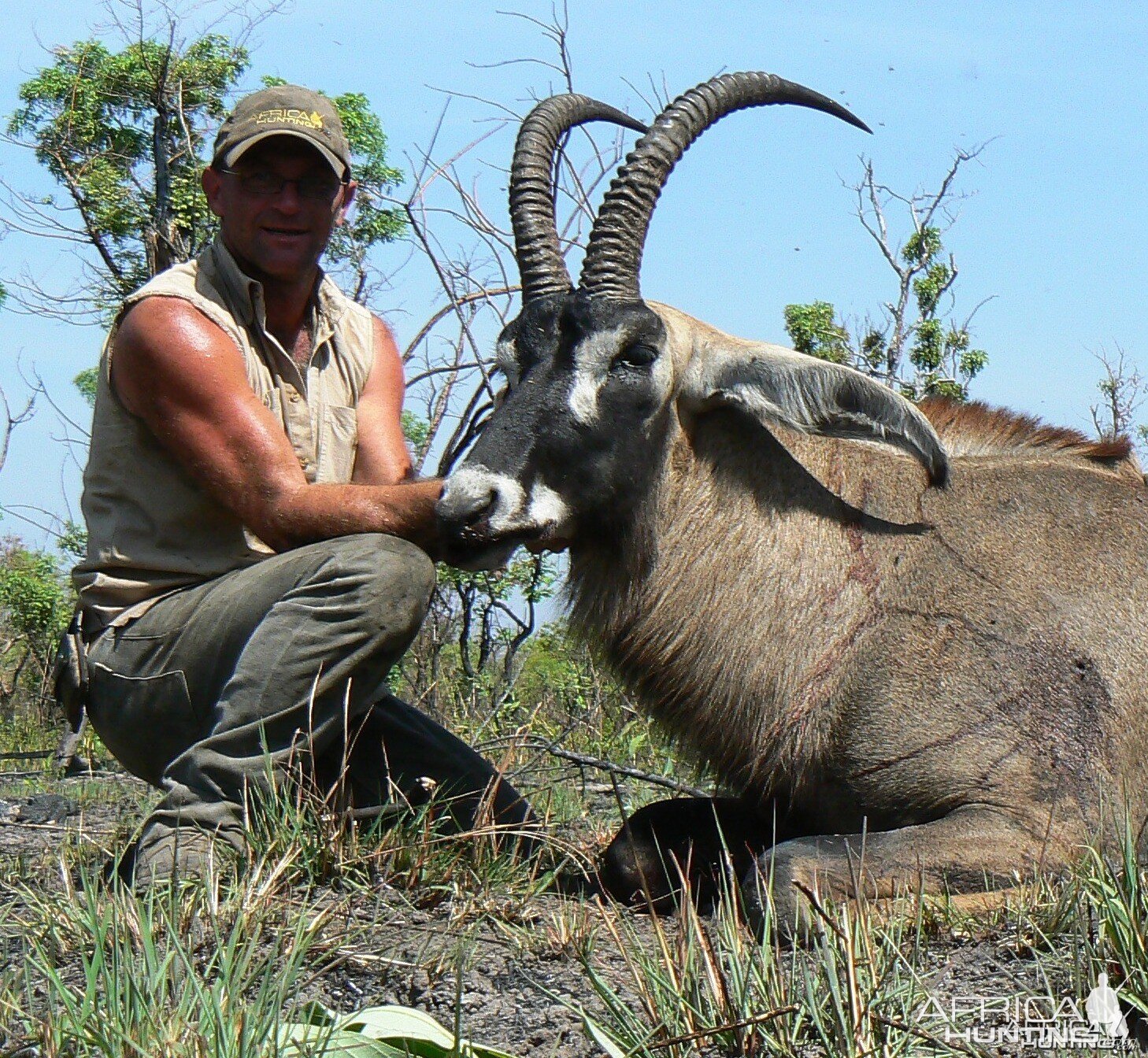 Very good 28 inches roan bull hunted in Central African Republic