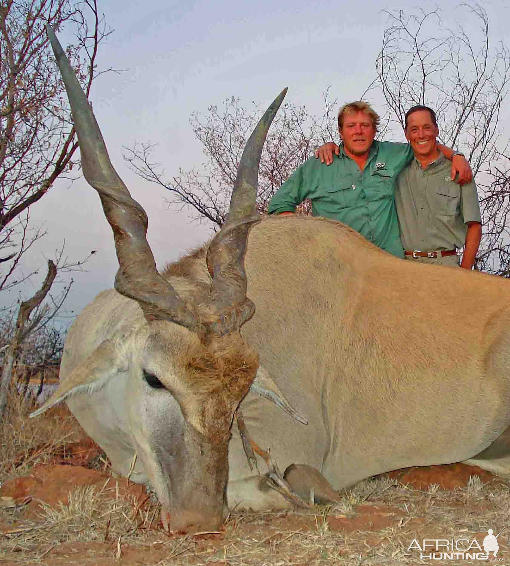 Very good eland