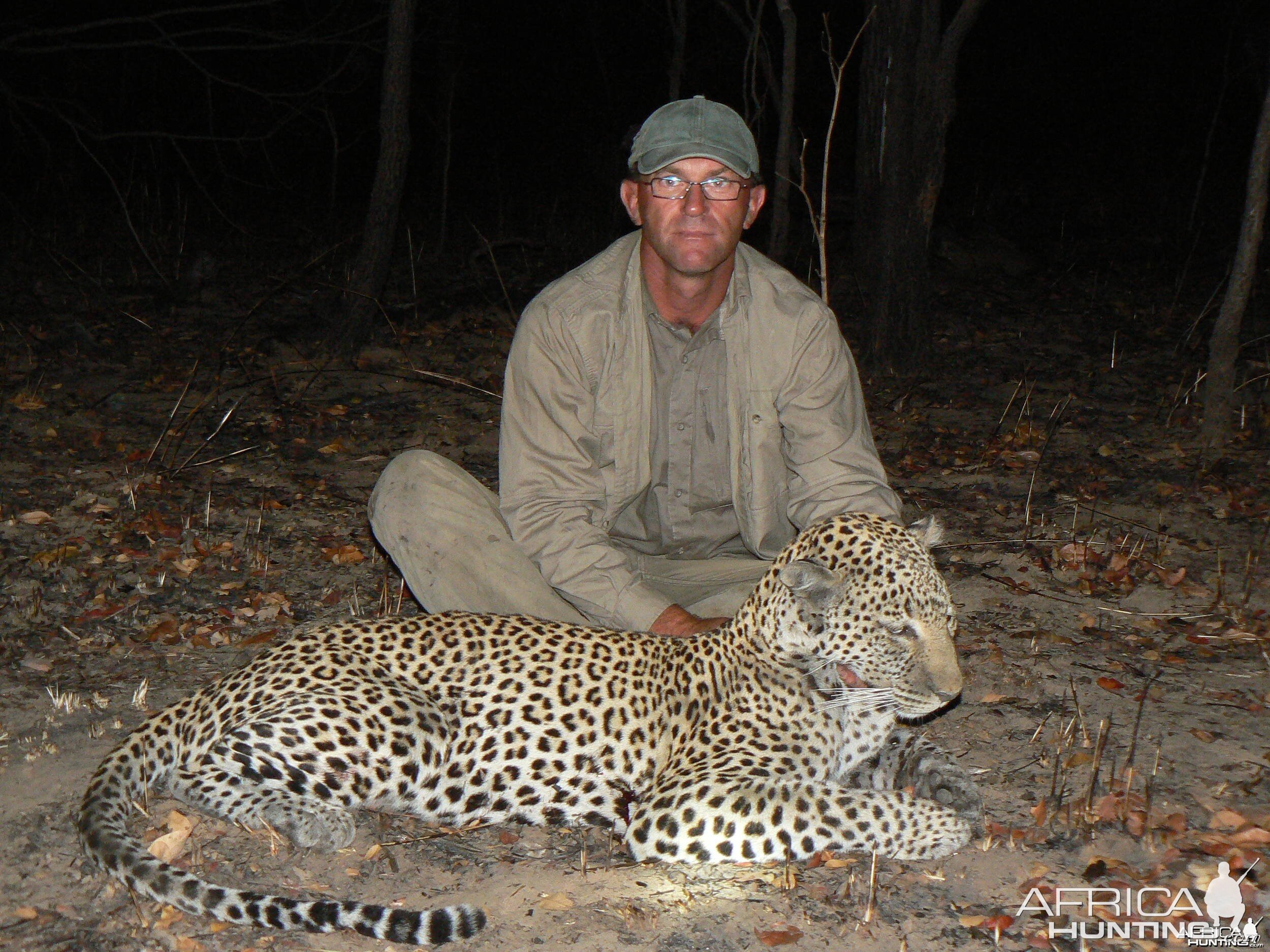 Very old leopard - Hunt Tanzania