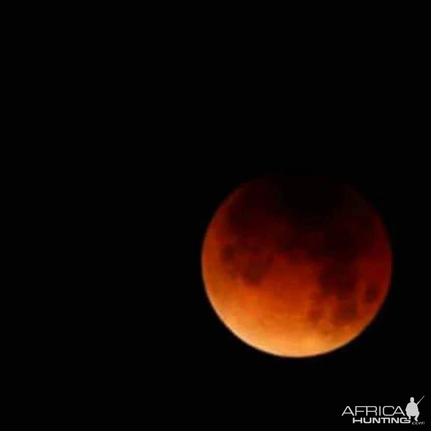 View of full moon Zimbabwe