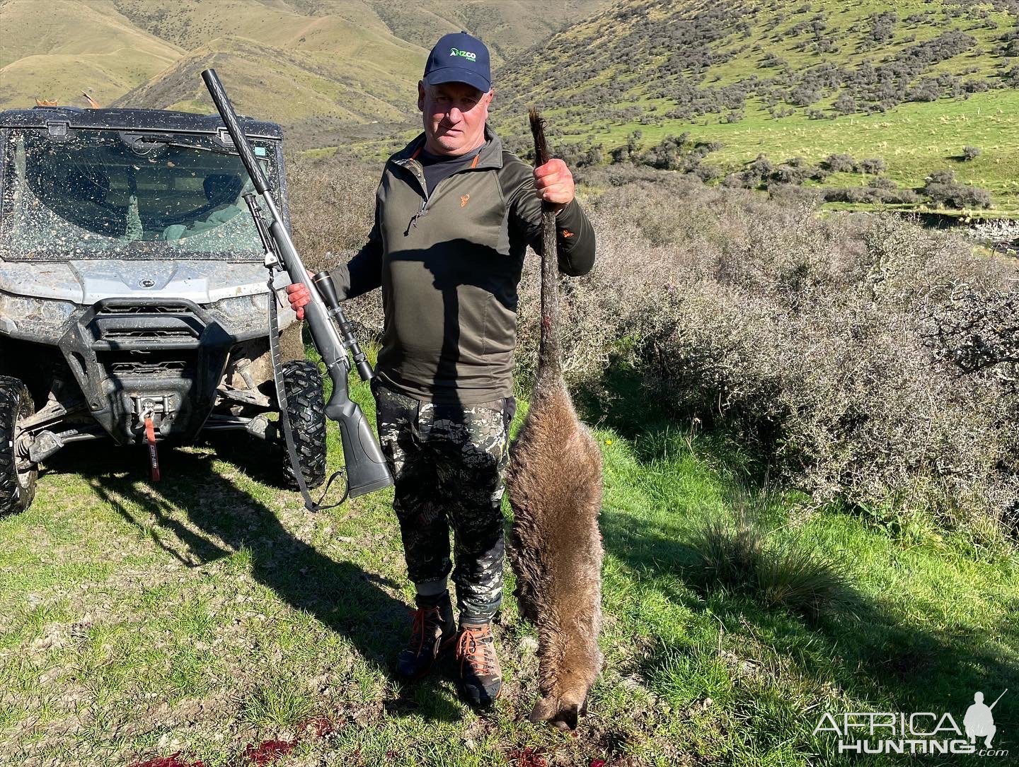 Wallaby Hunting- New Zealand Safaris