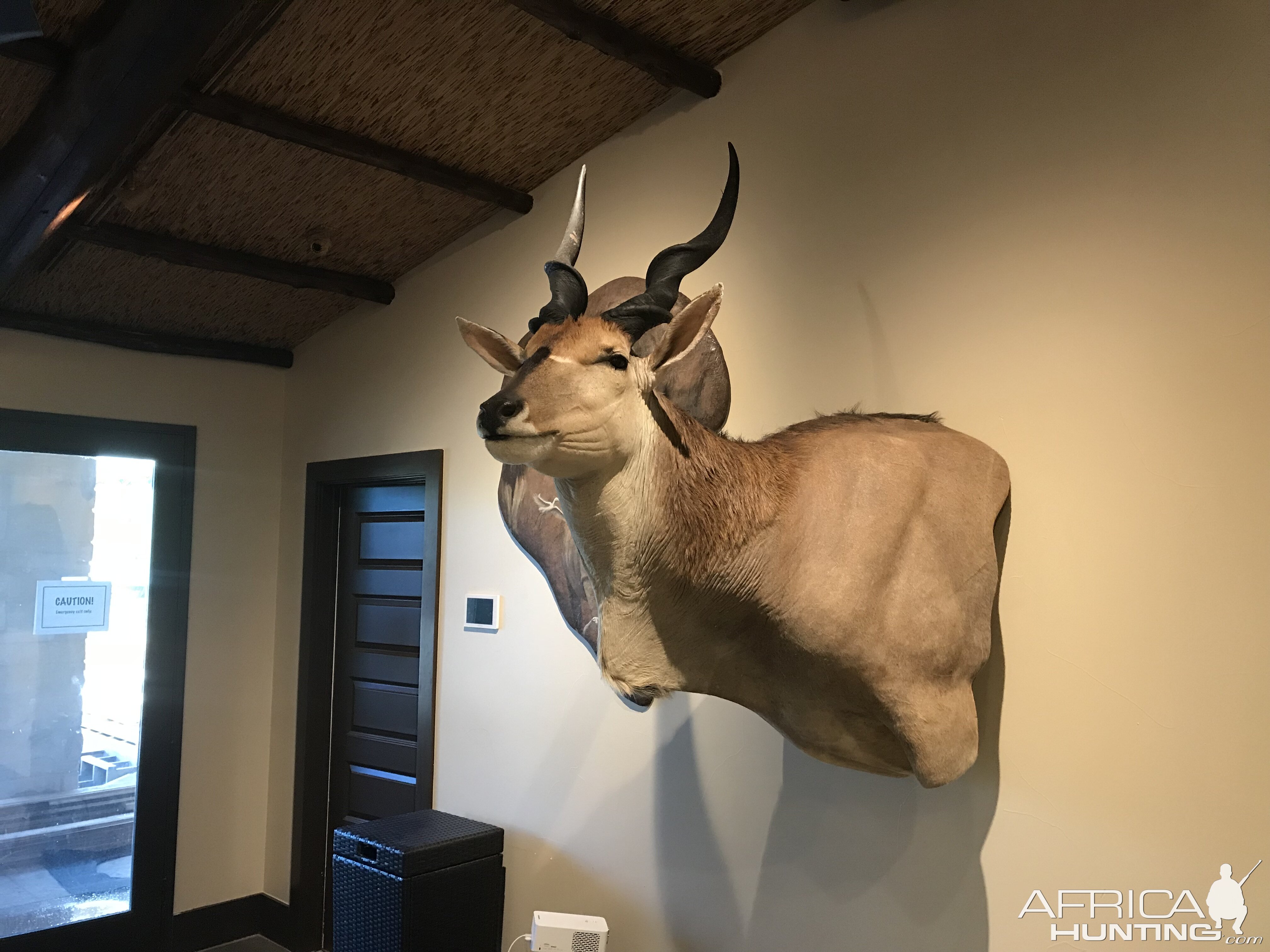 Warren Wildlife Gallery