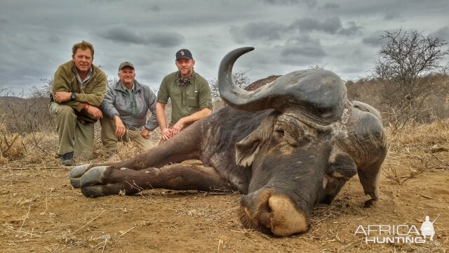 Warrior Dagga Boy with 21" bosses---thats a buffalo!