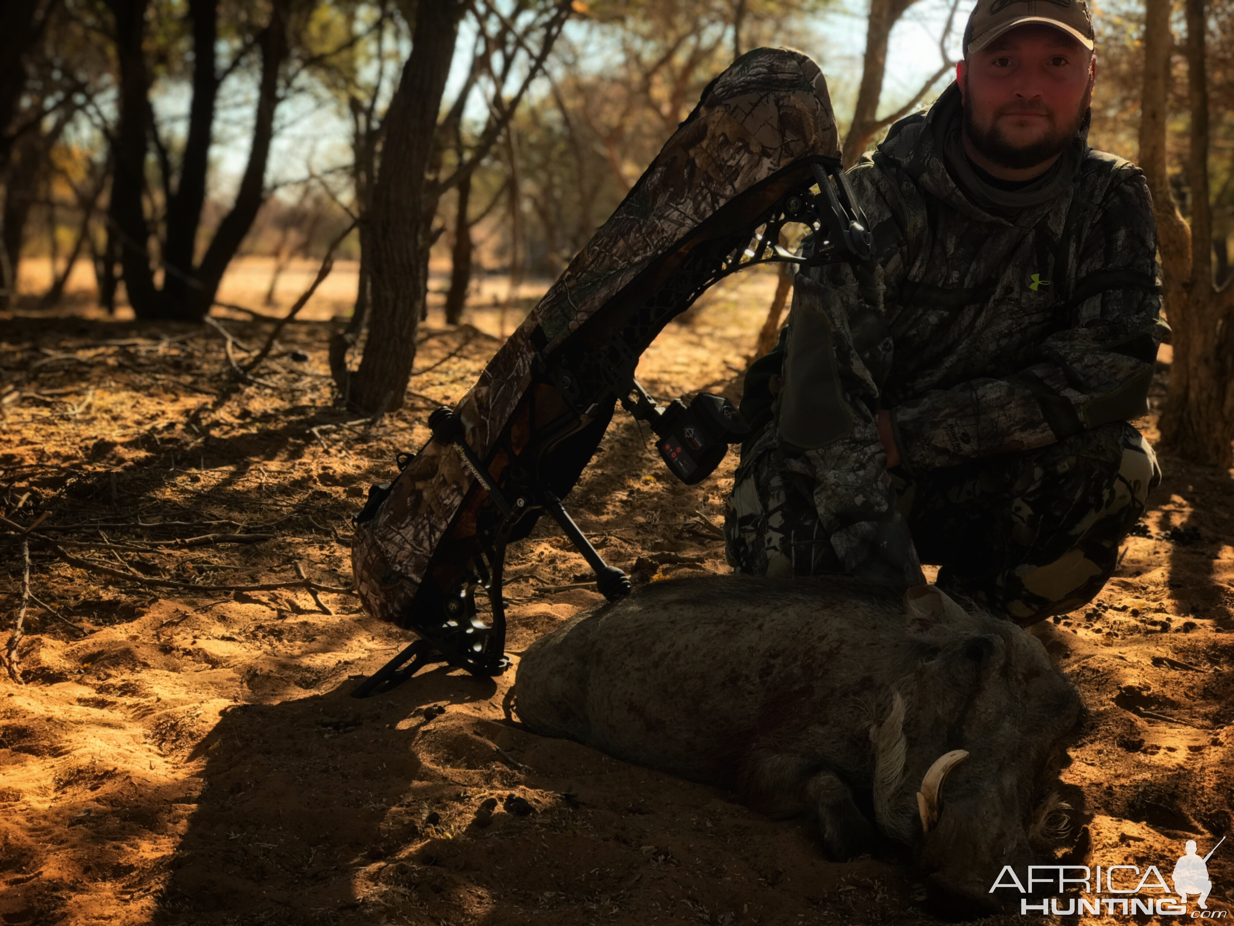 Warthog “Phacochoerus Africanus” Bowhunting South Africa