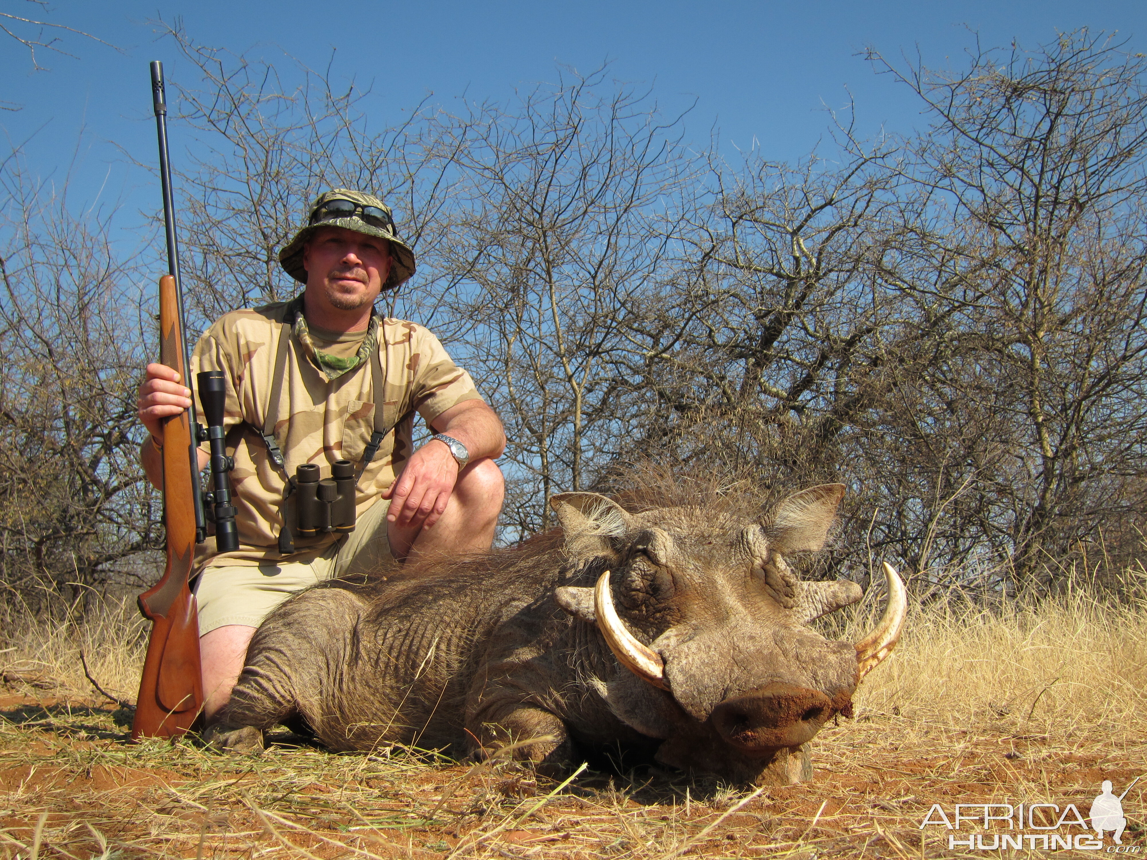 Warthog 2015 Limpopo