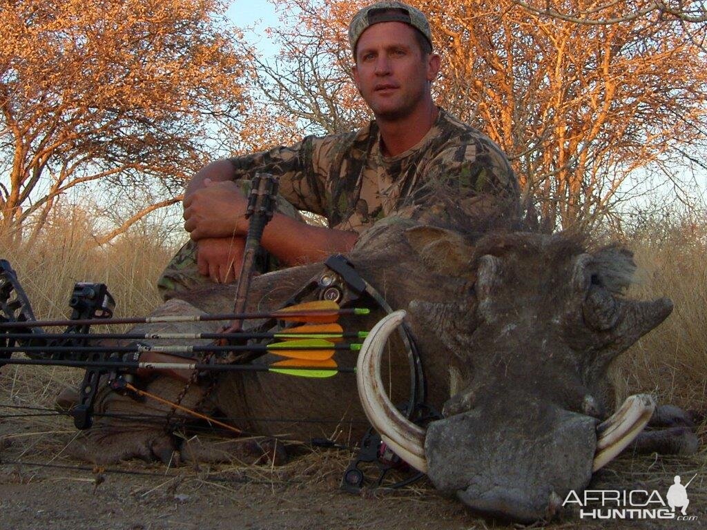 Warthog Bow Hunt Namibia
