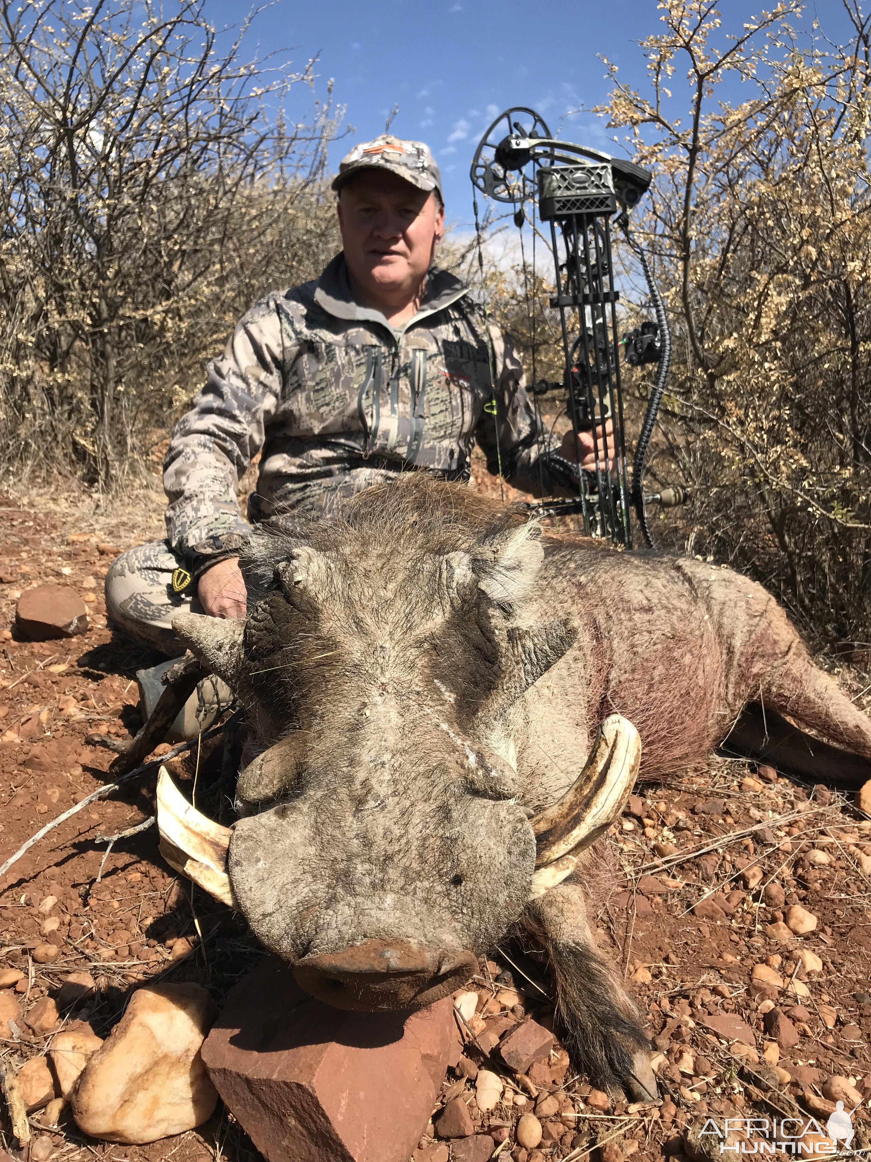 Warthog Bow Hunt Namibia