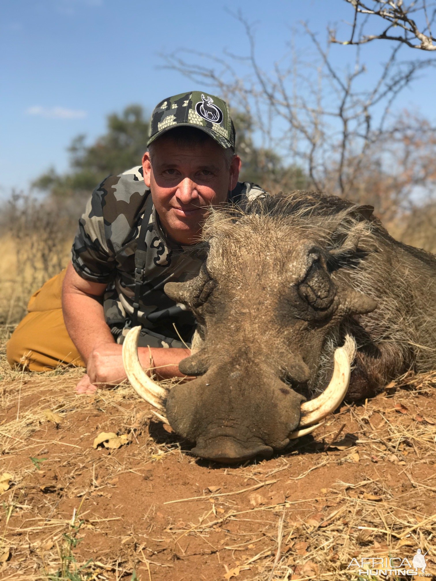 Warthog Bow Hunt South Africa | AfricaHunting.com