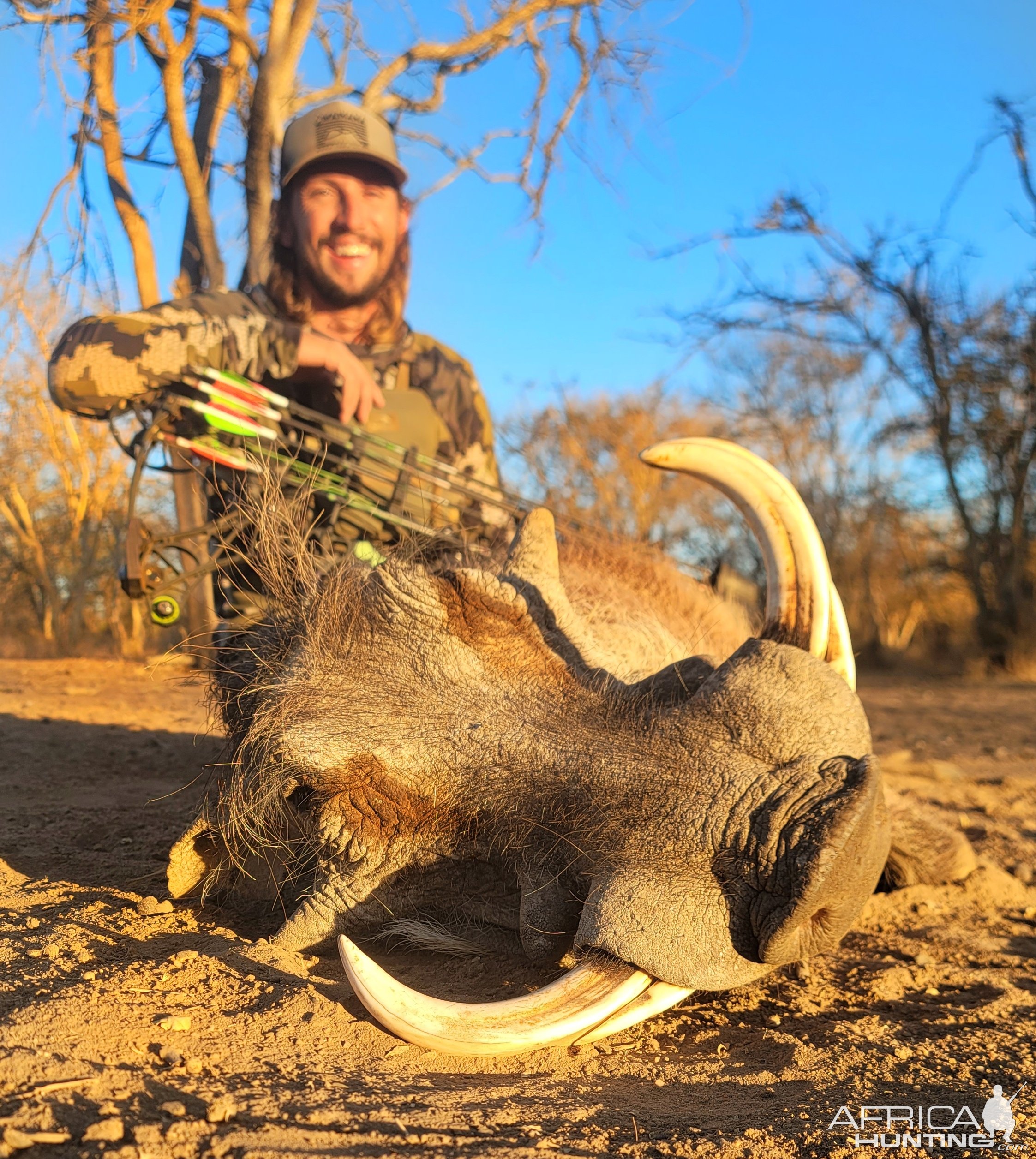 Warthog Bow Hunt South Africa