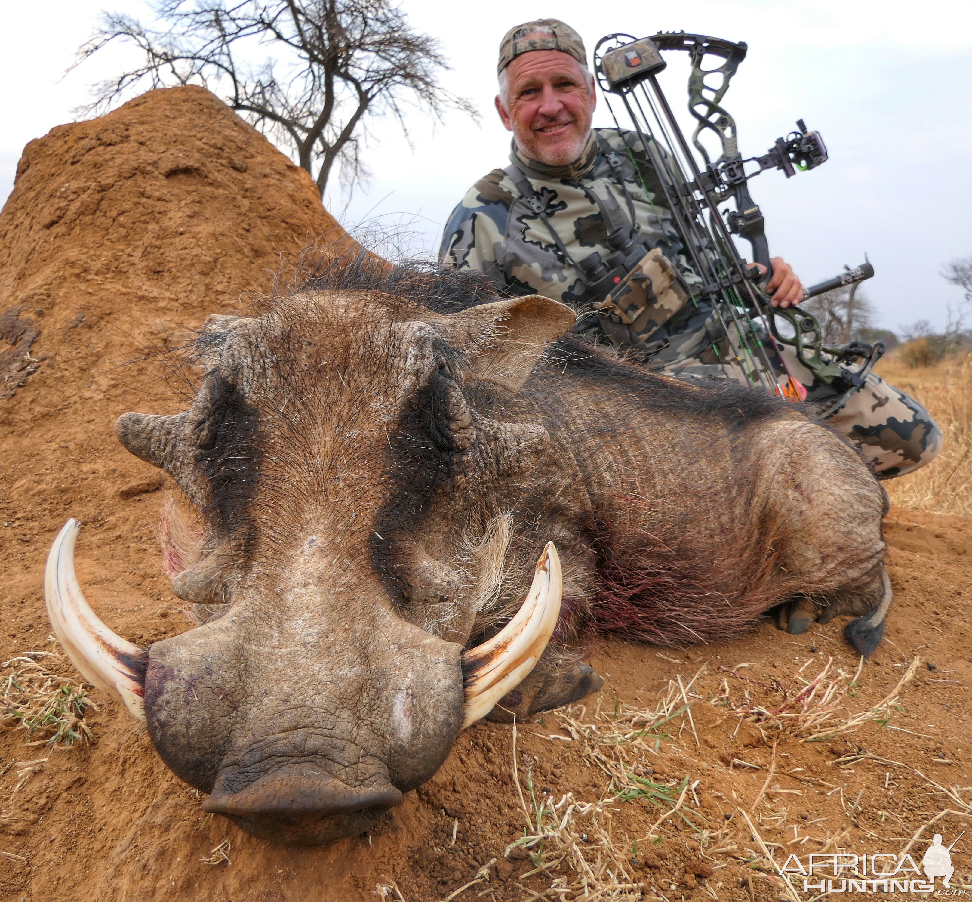 Warthog Bow Hunt South Africa