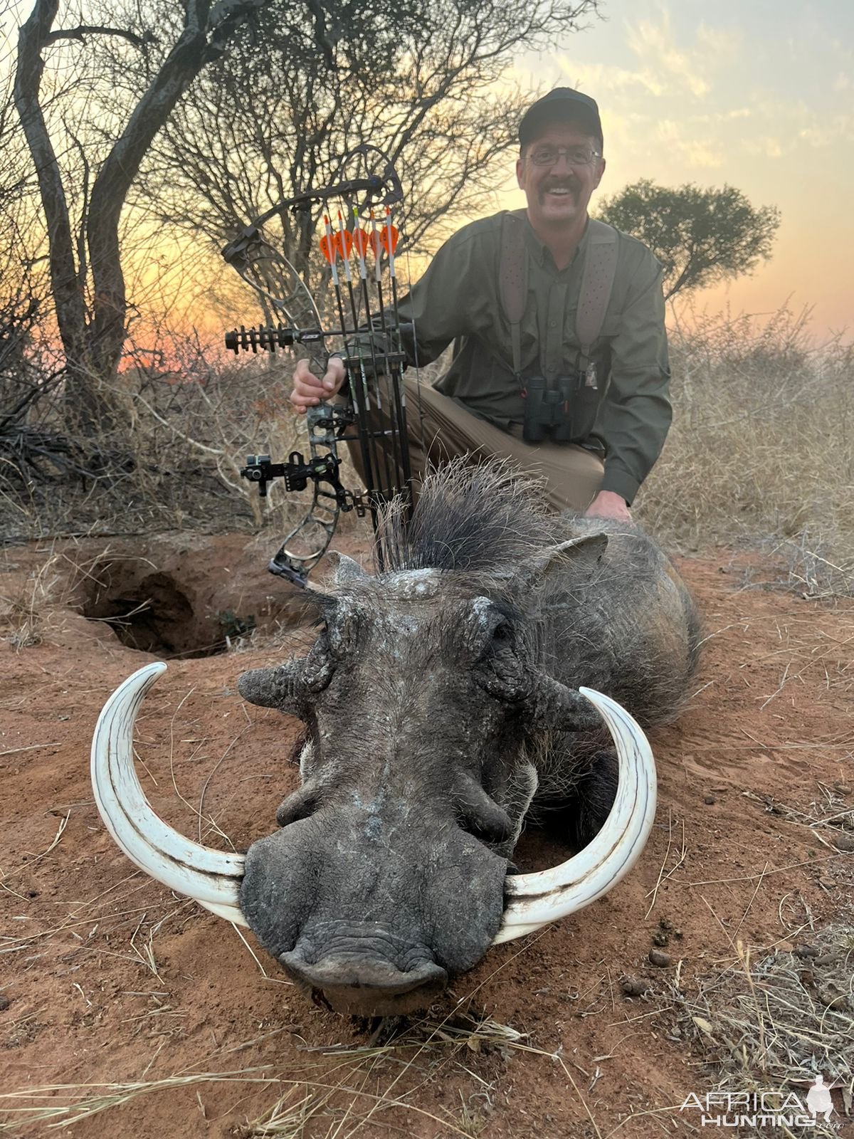 Warthog Bow Hunt South Africa