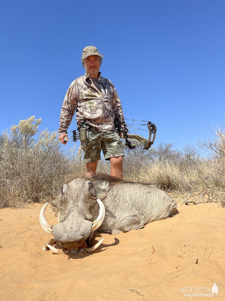 Warthog Bow Hunting South Africa | AfricaHunting.com