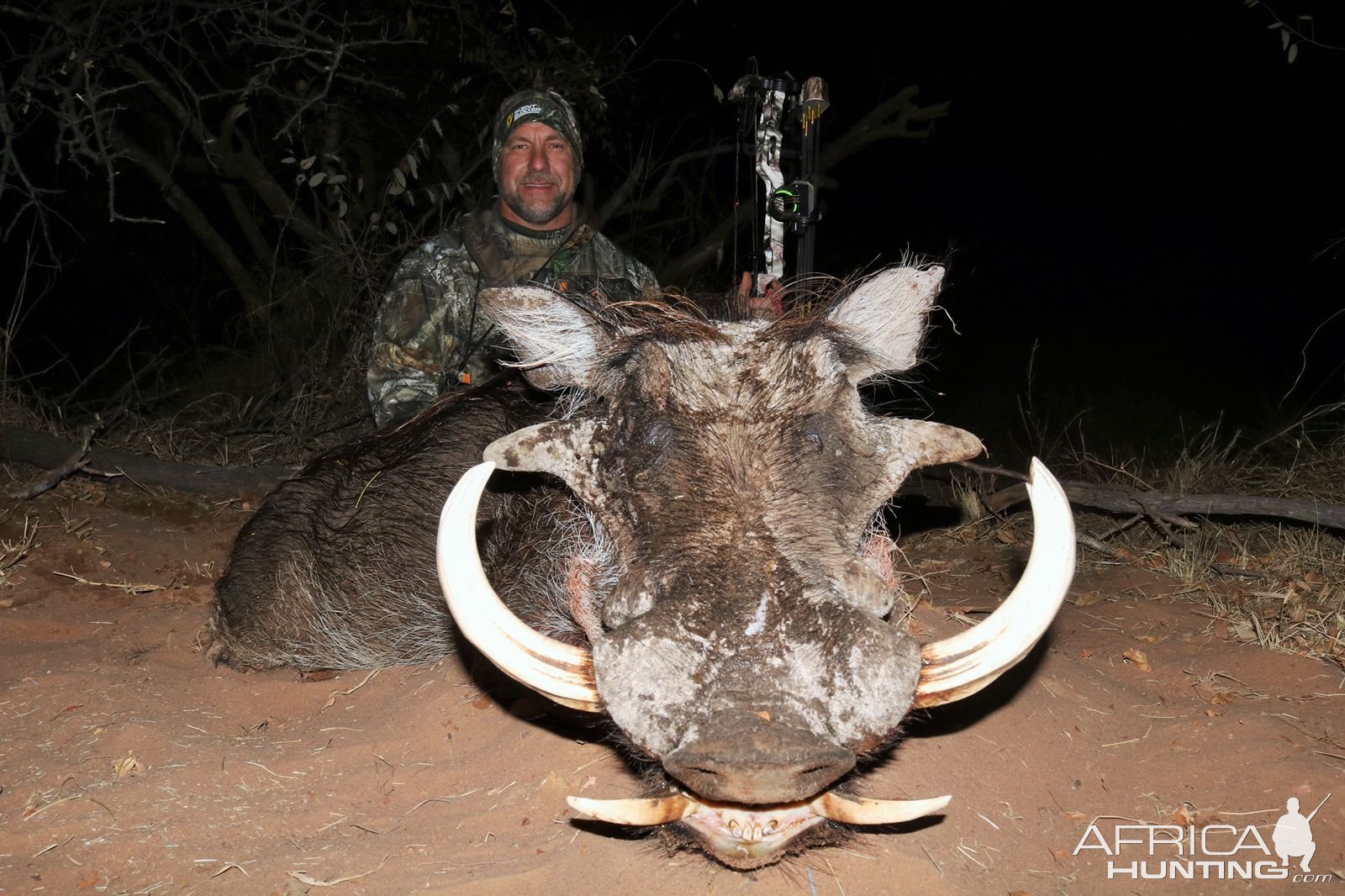 Warthog Bowhunting South Africa | AfricaHunting.com