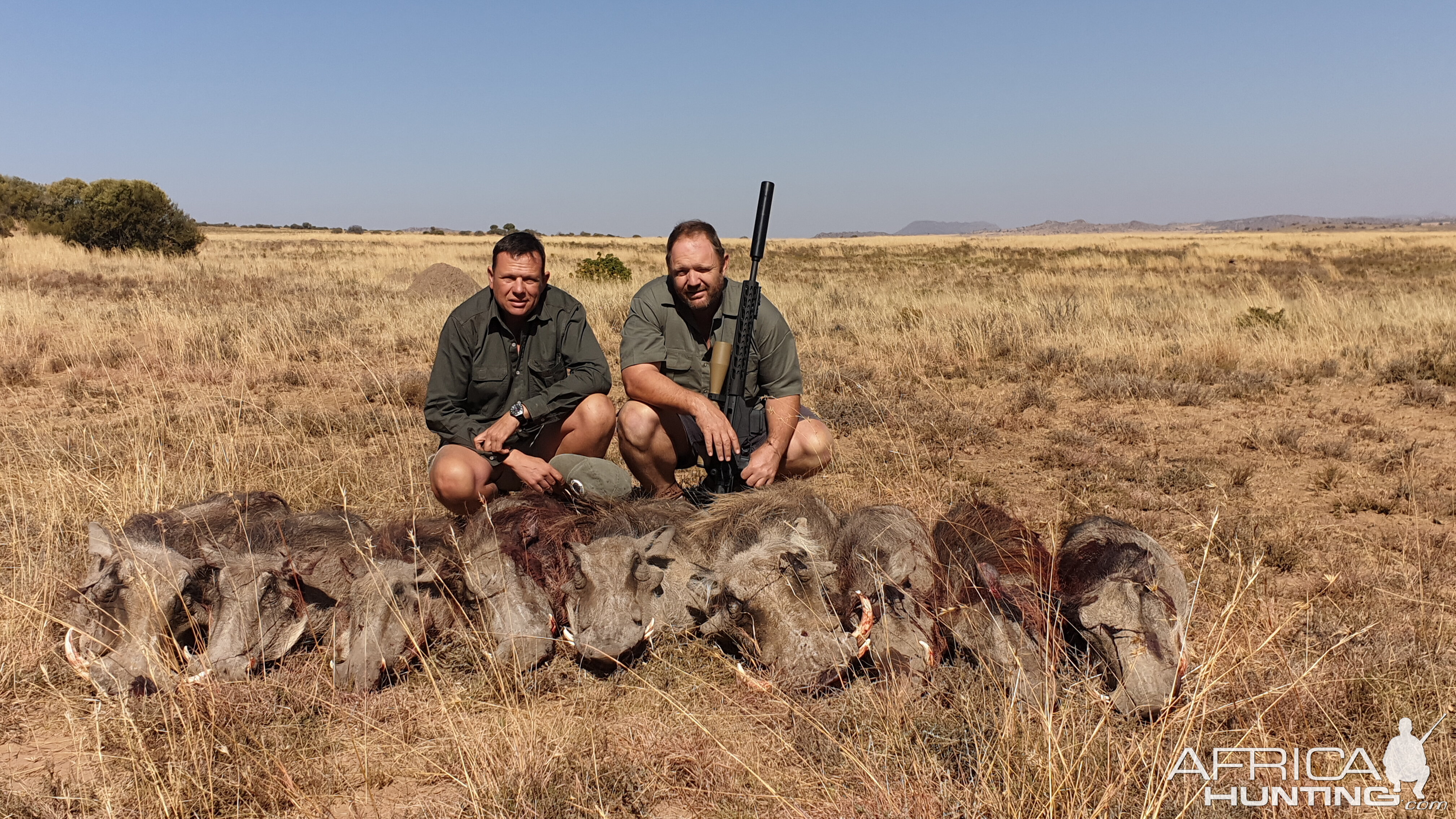 Warthog Cull Hunting South Africa