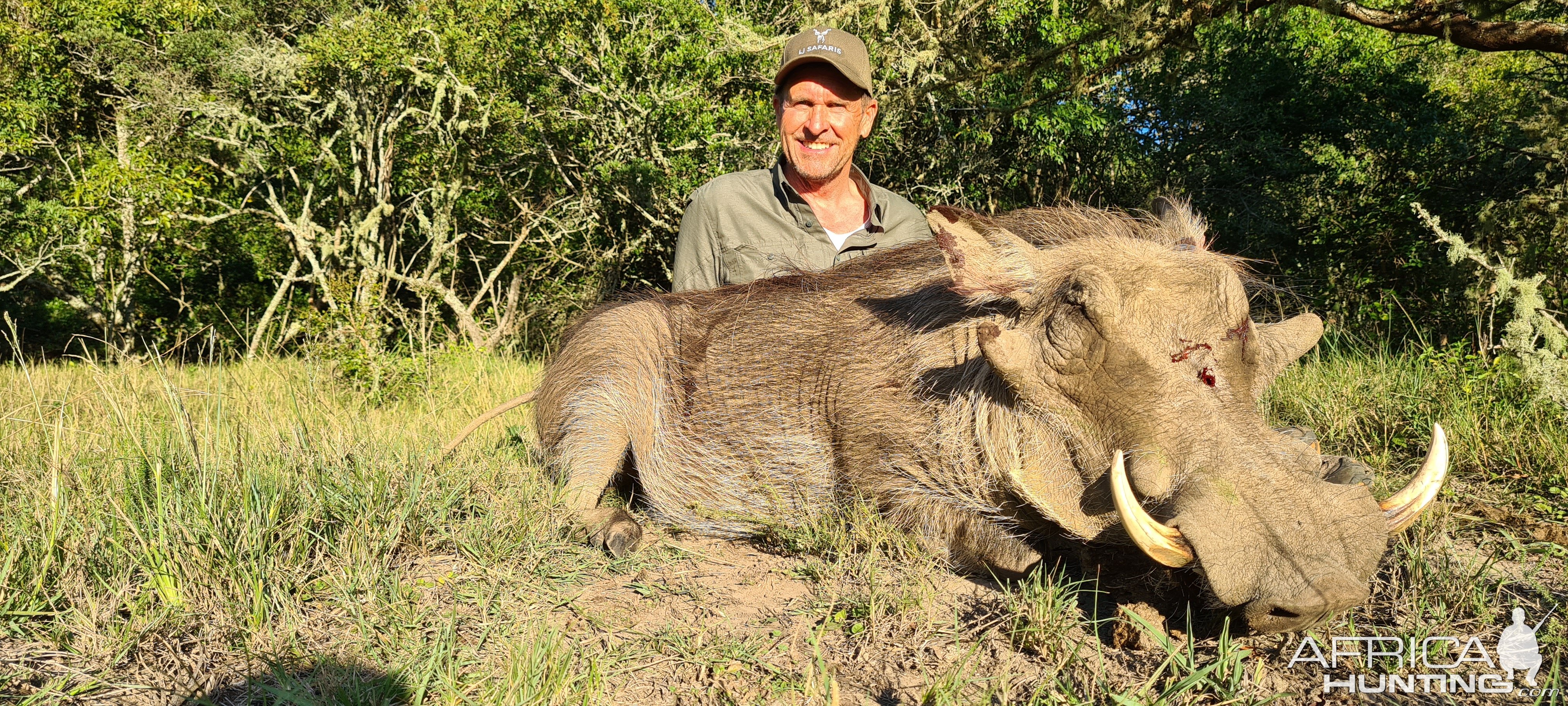 Warthog Hunt Eastern Cape South Africa