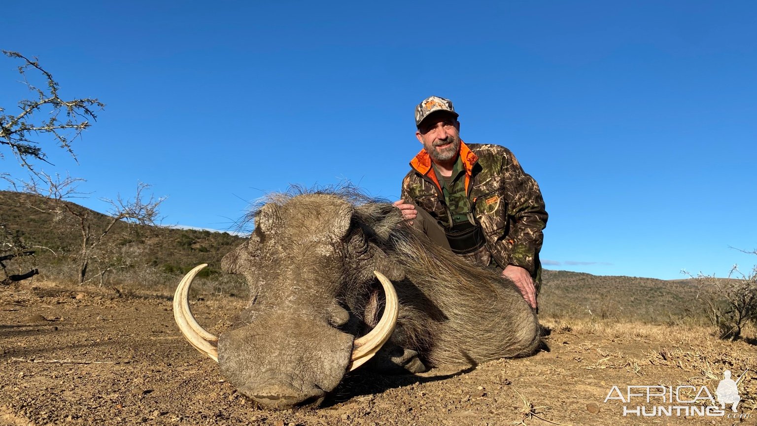 Warthog Hunt Eastern Cape South Africa