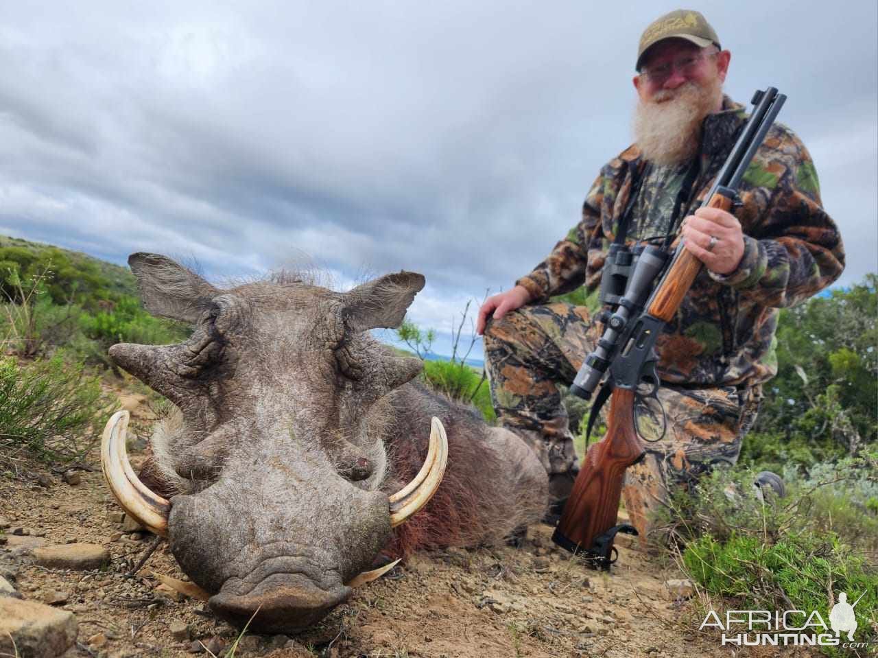 Warthog Hunt Eastern Cape South Africa