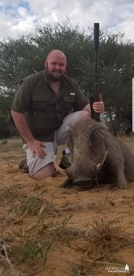 Warthog Hunt Kalahari South Africa