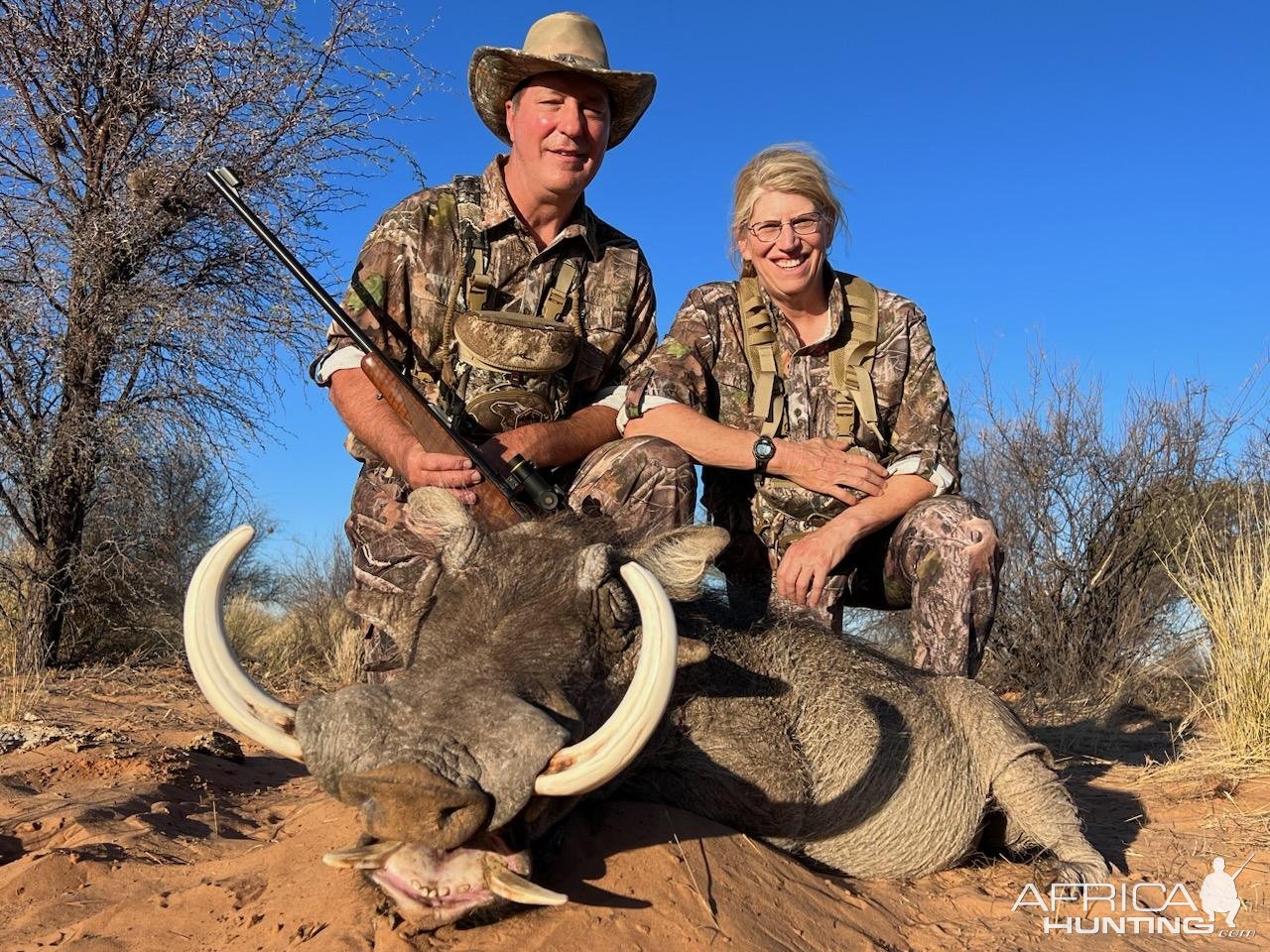 Warthog Hunt Kalahari South Africa