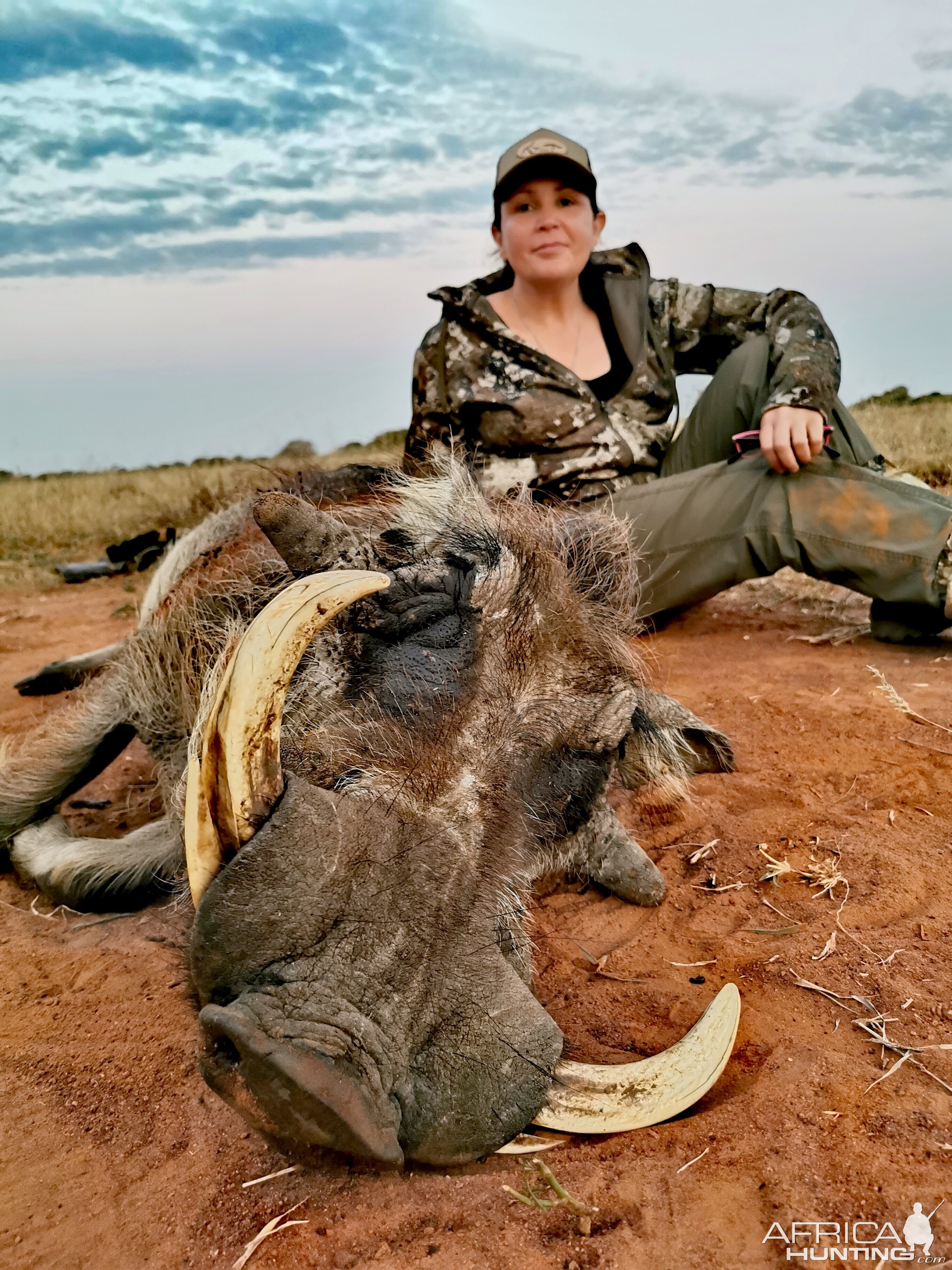 Warthog Hunt Limpopo South Africa